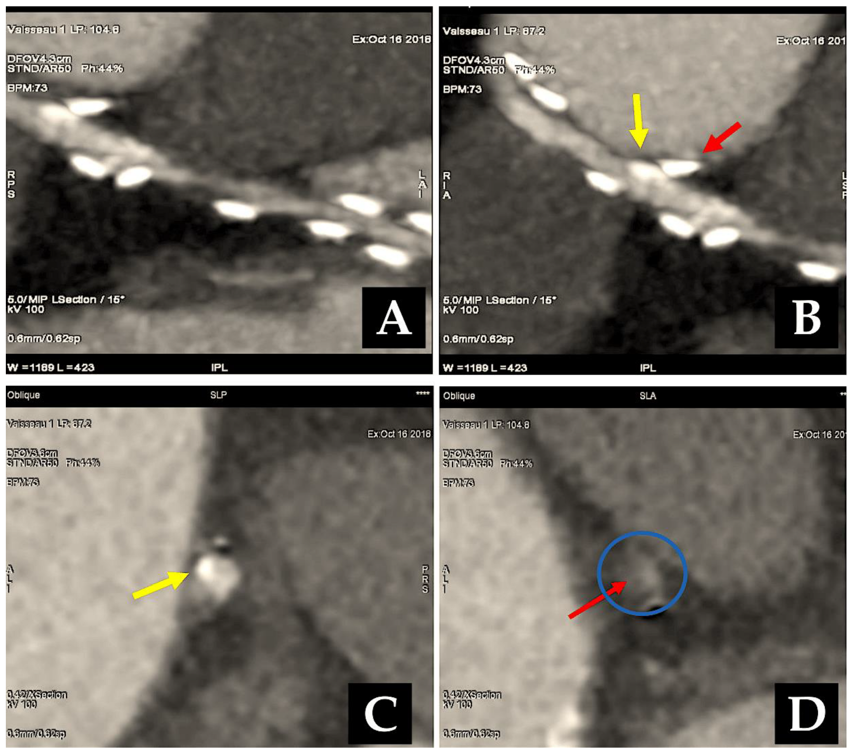 Preprints 138143 g008