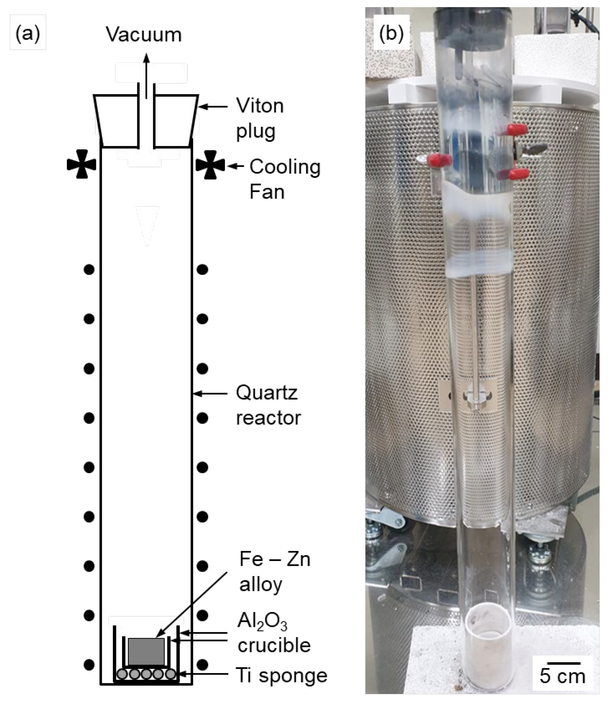 Preprints 170359 g003
