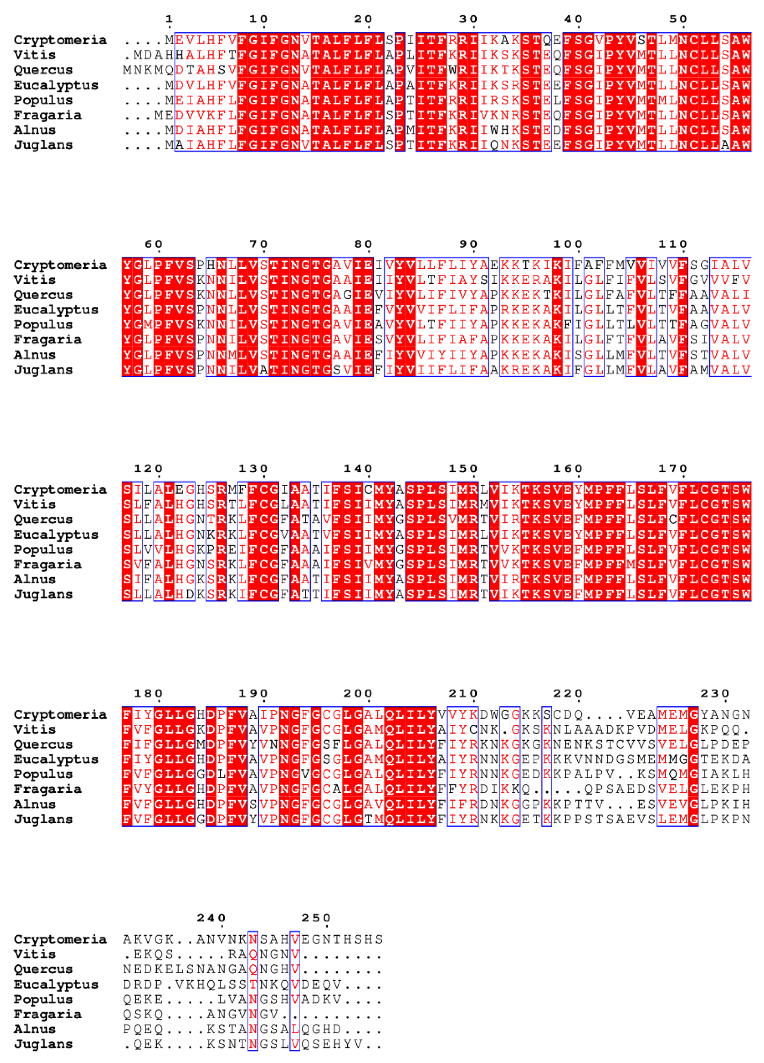 Preprints 188682 g006