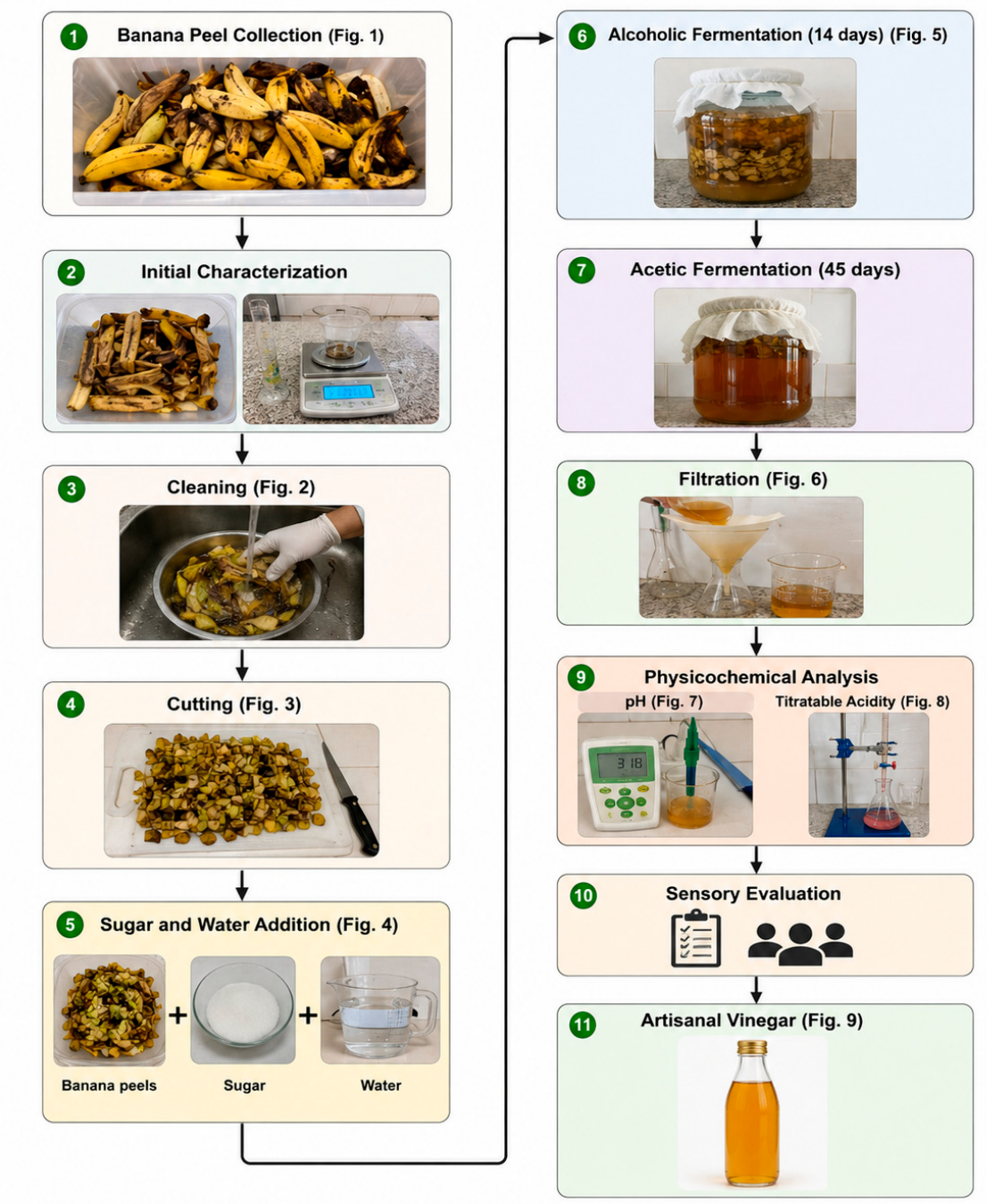 Preprints 221954 g001