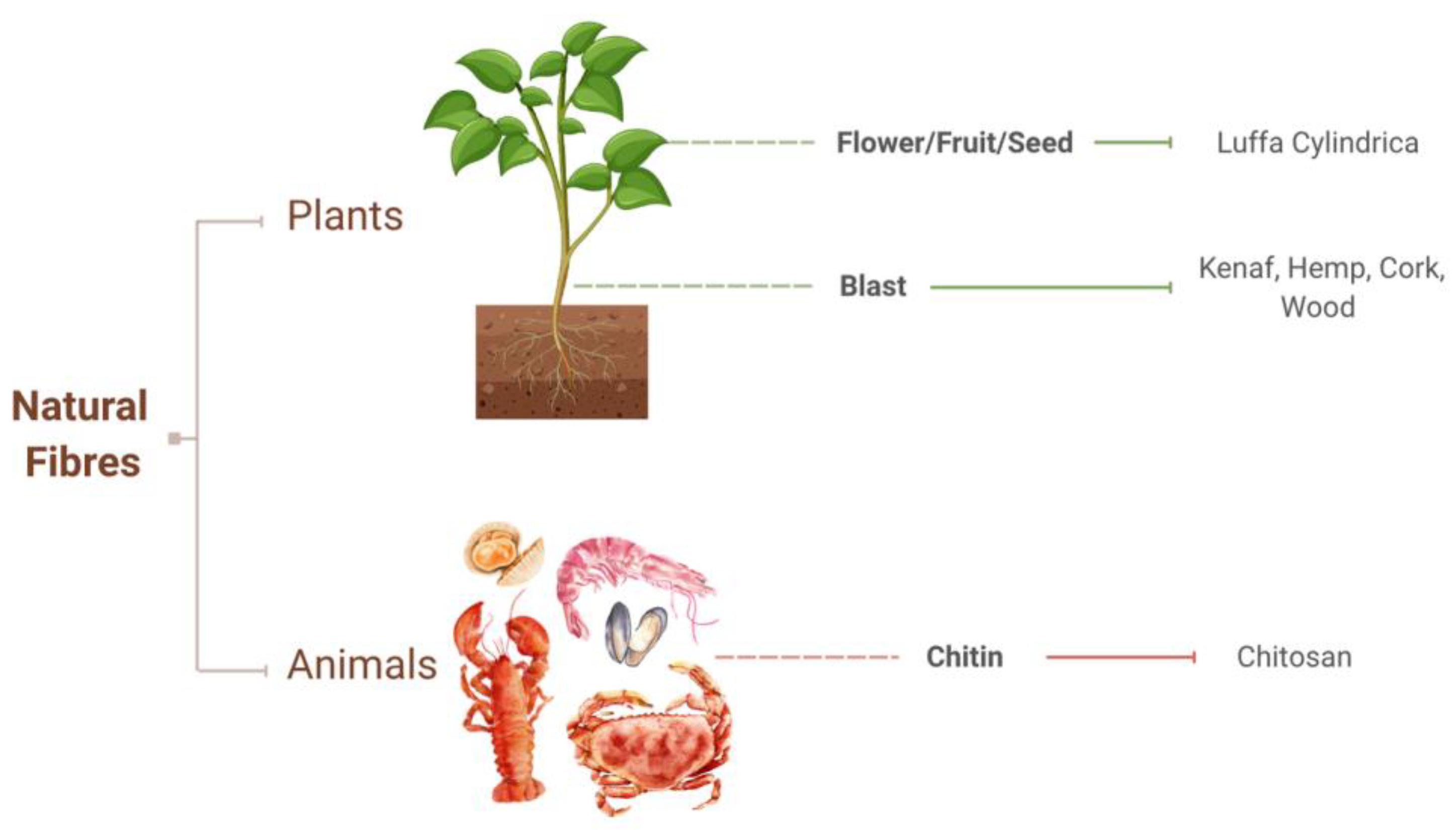 Preprints 175468 g005