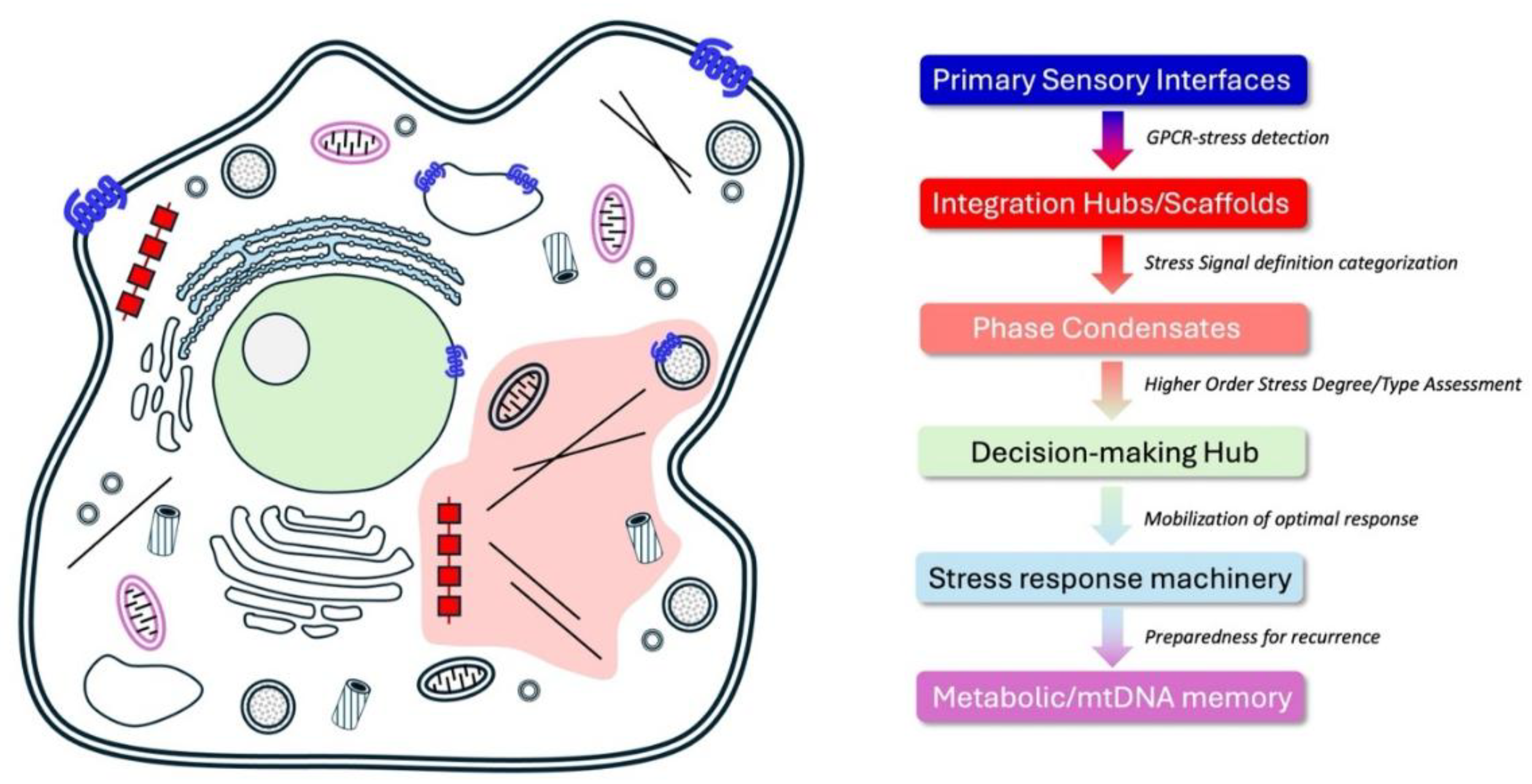 Preprints 191077 g001