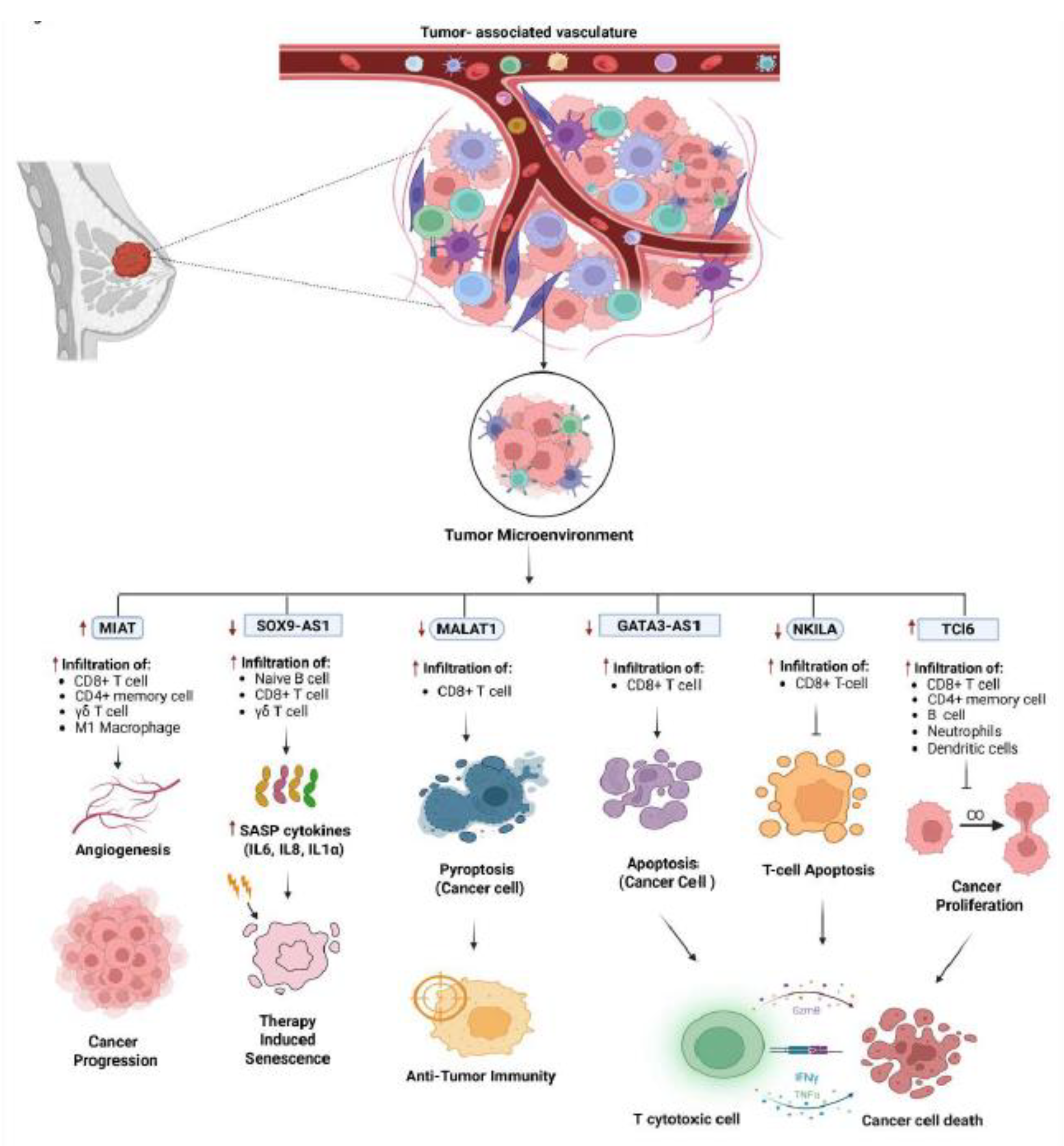 Preprints 179842 g001