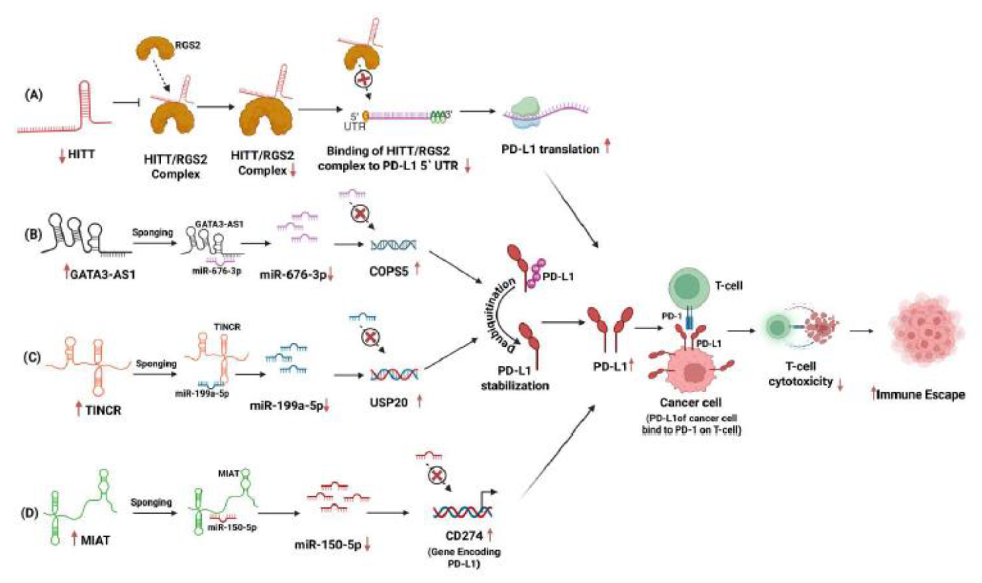 Preprints 179842 g002