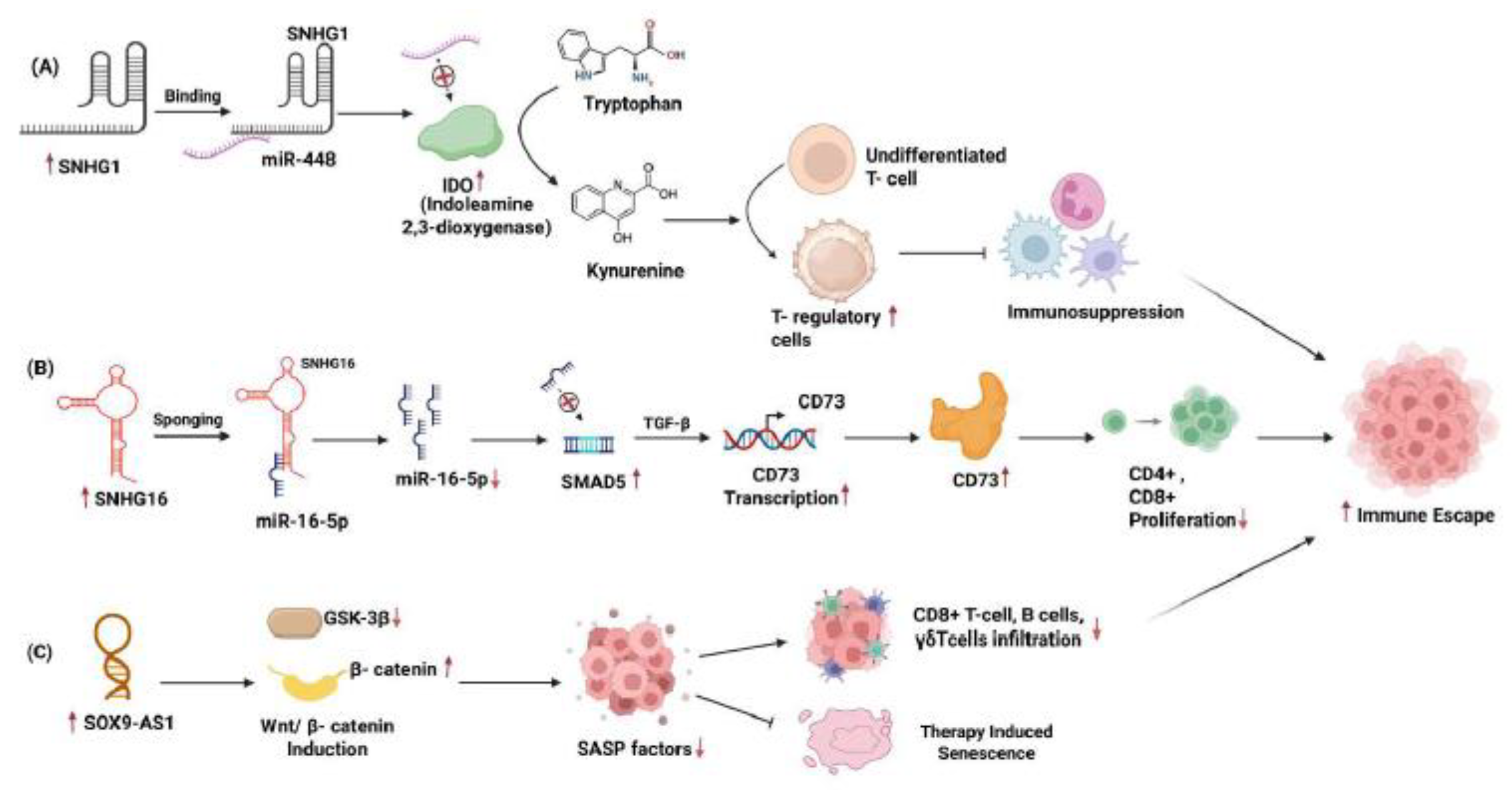 Preprints 179842 g003