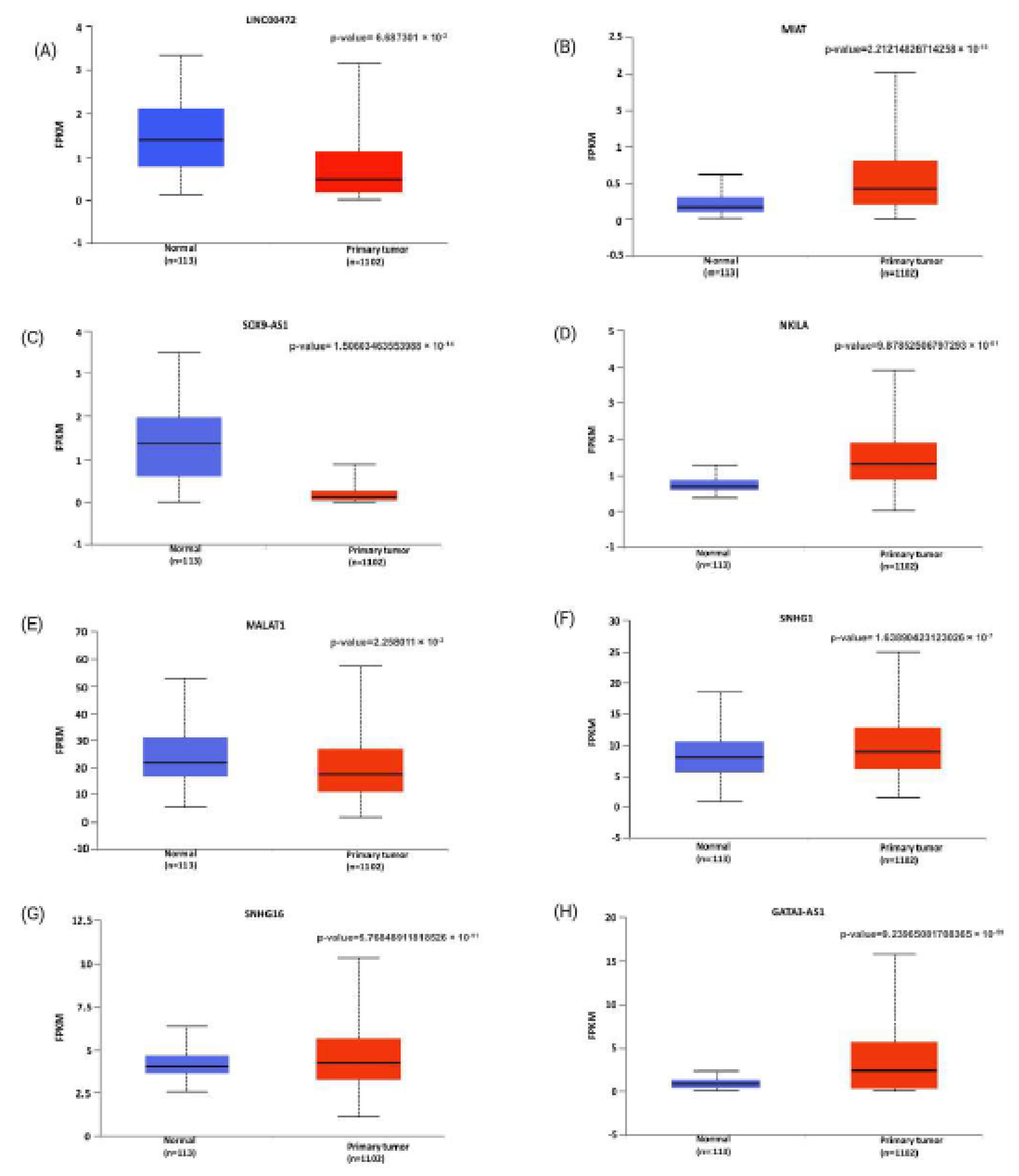 Preprints 179842 g006