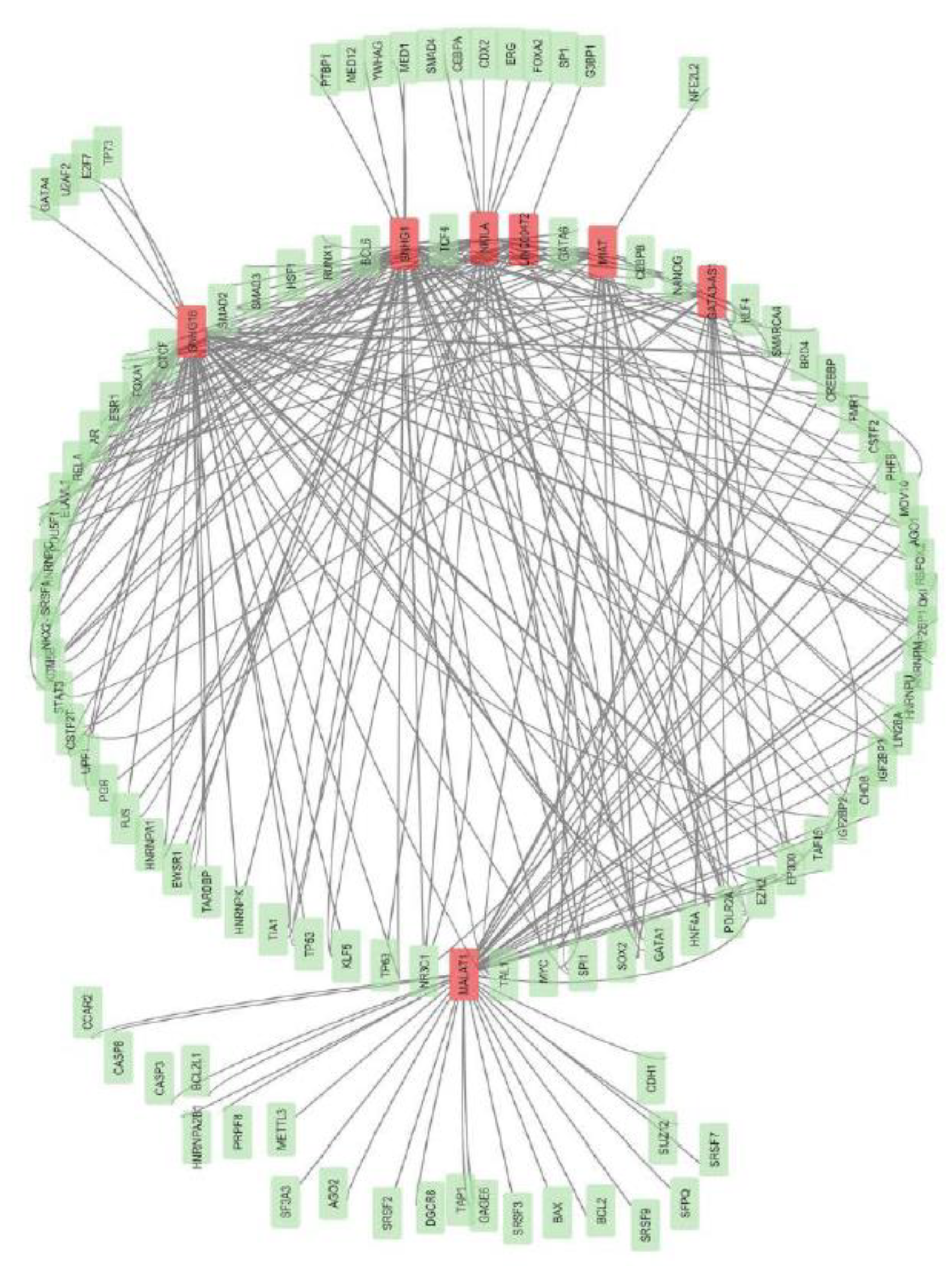 Preprints 179842 g007