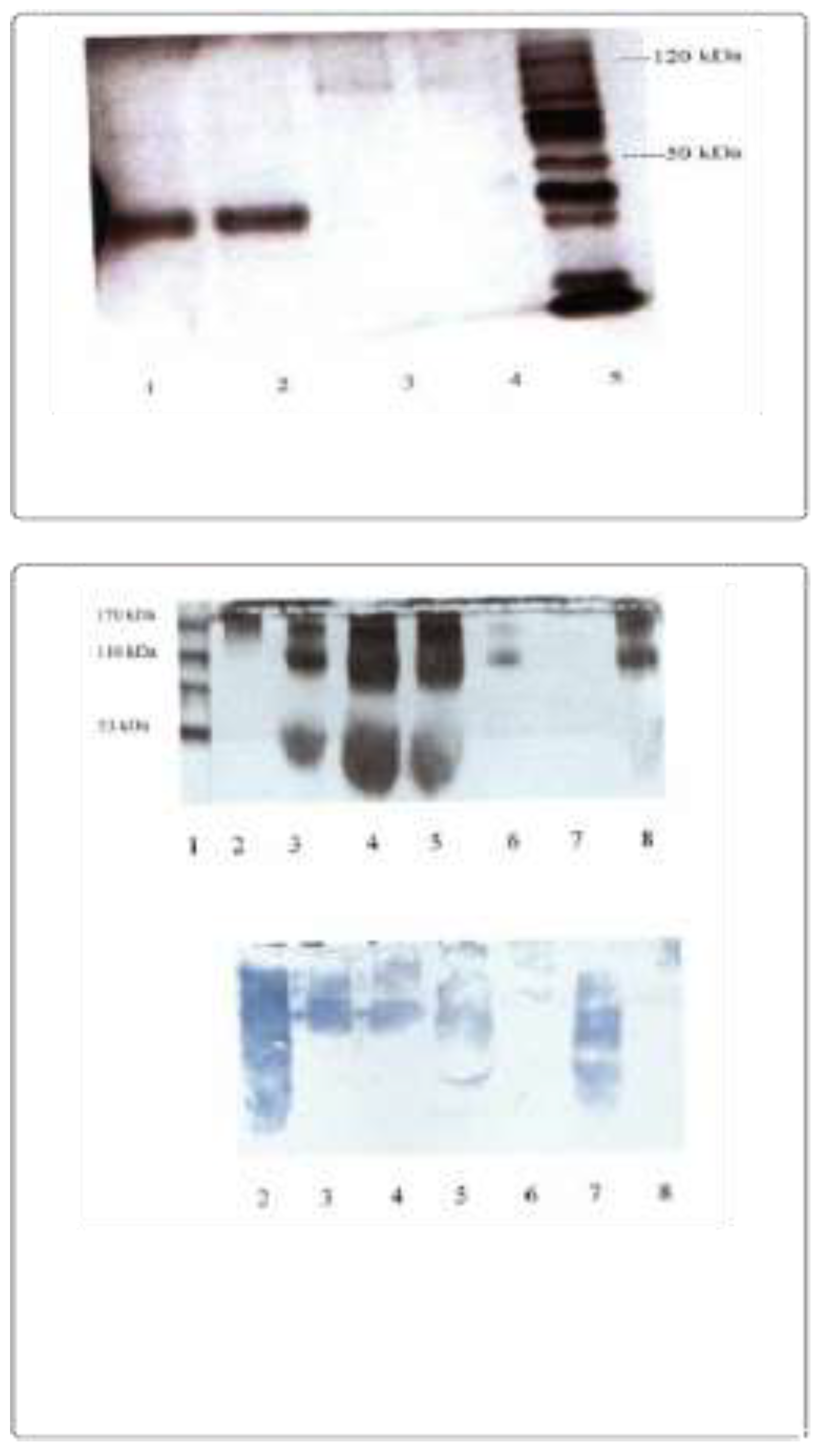Preprints 104767 g001