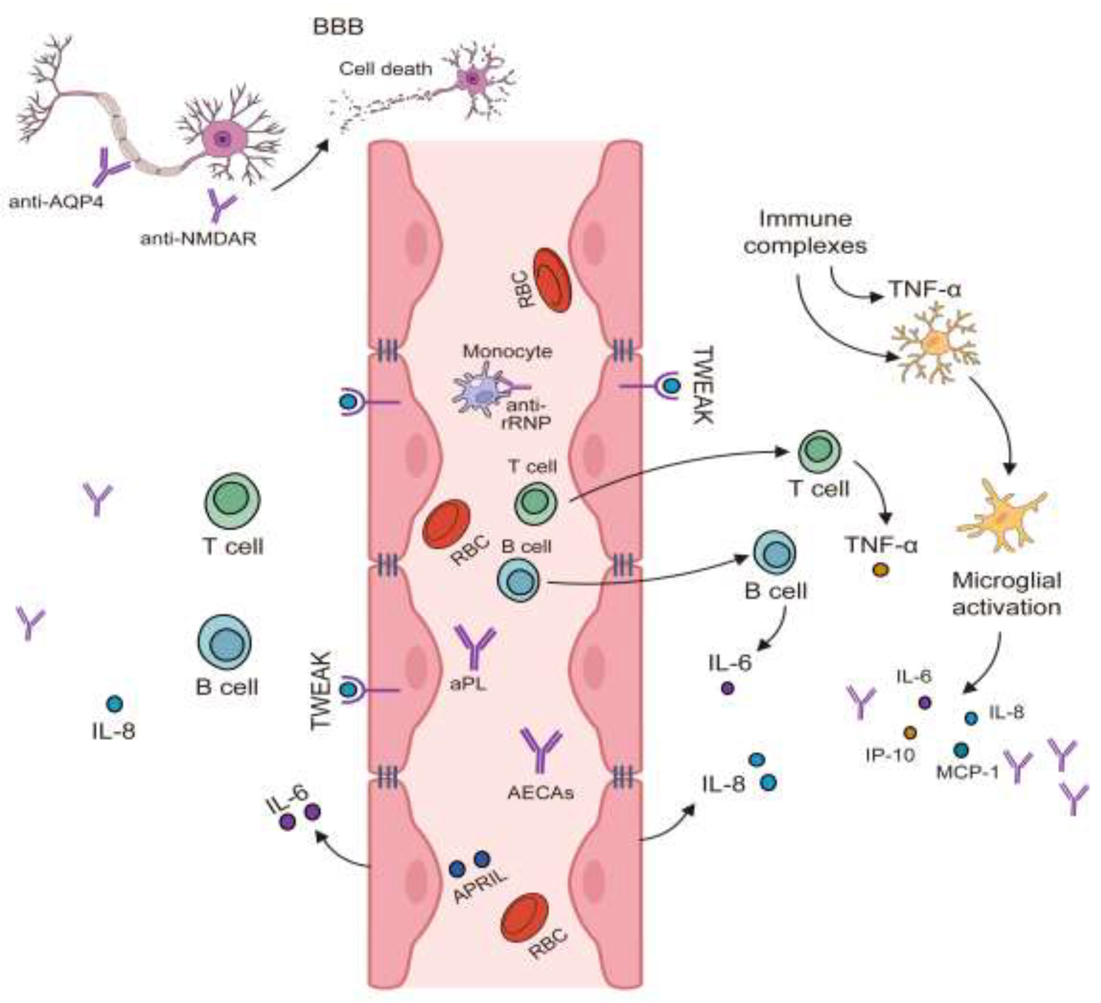Preprints 104767 g002