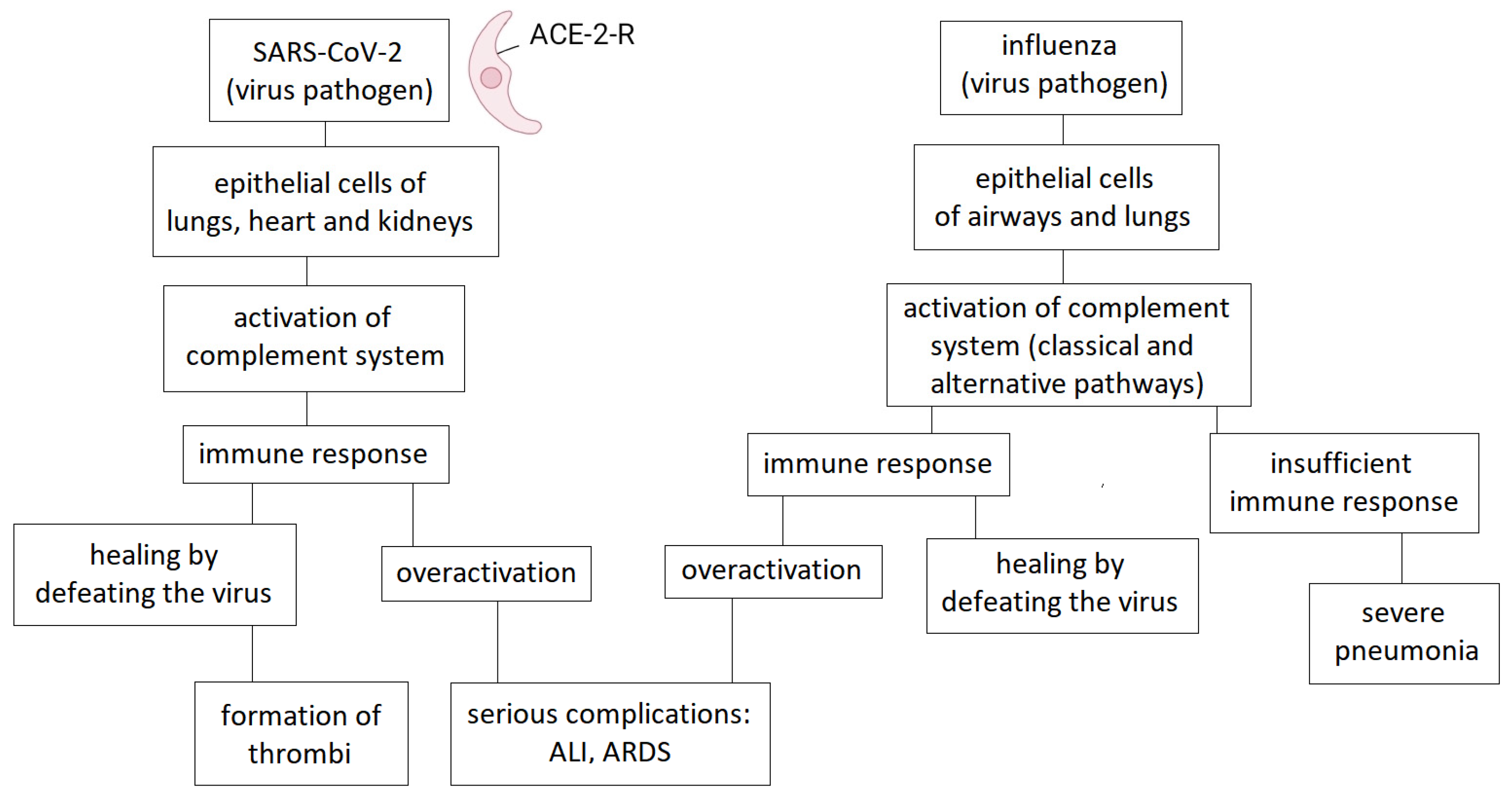 Preprints 192979 g001