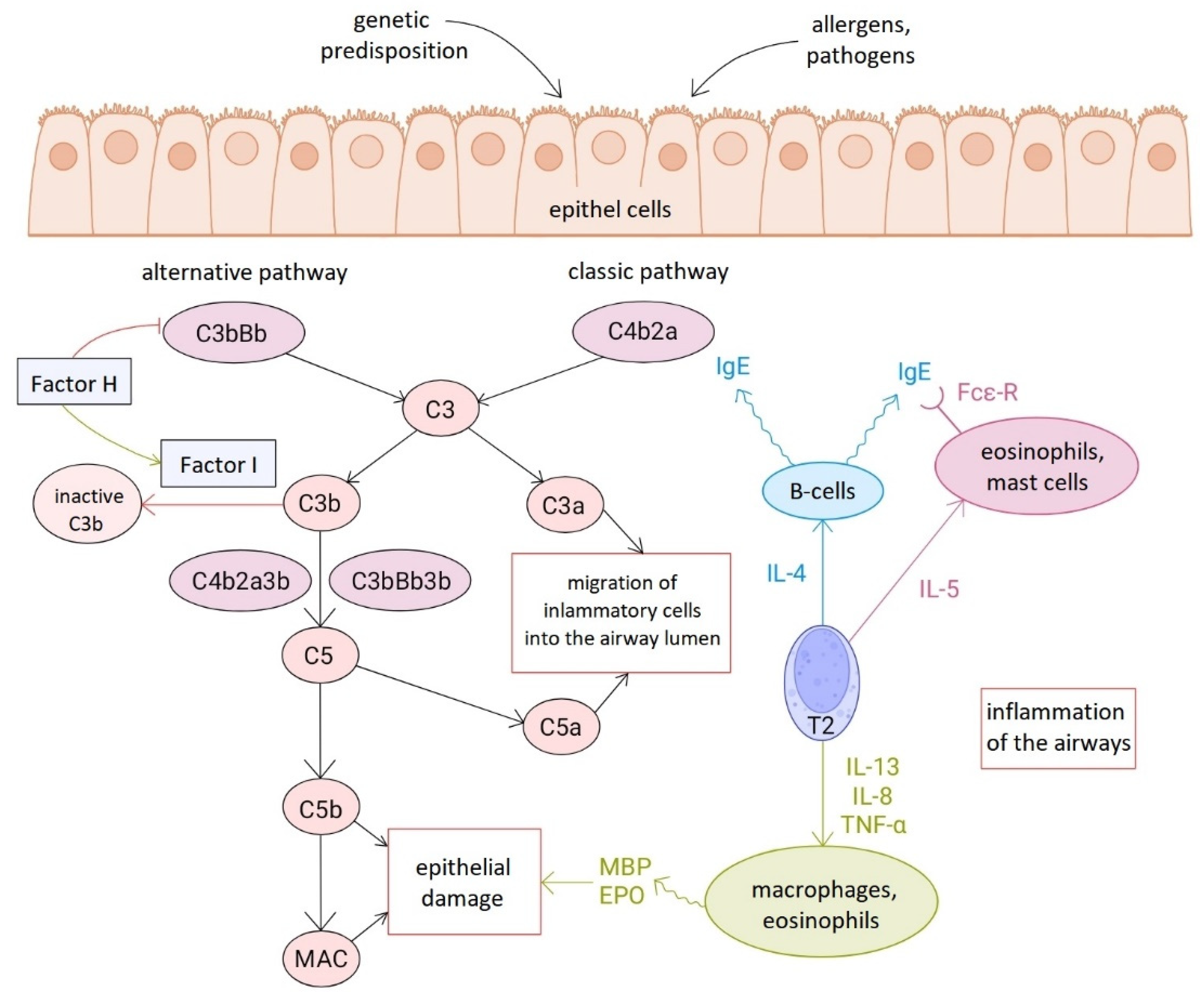 Preprints 192979 g003