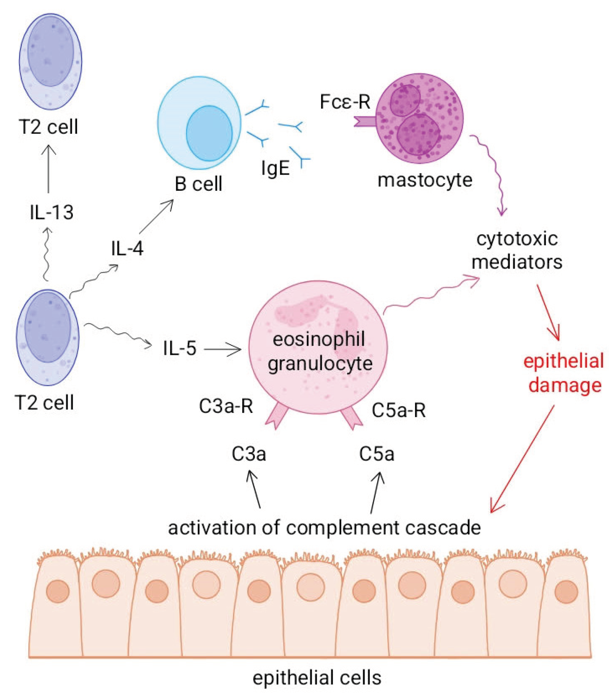 Preprints 192979 g006