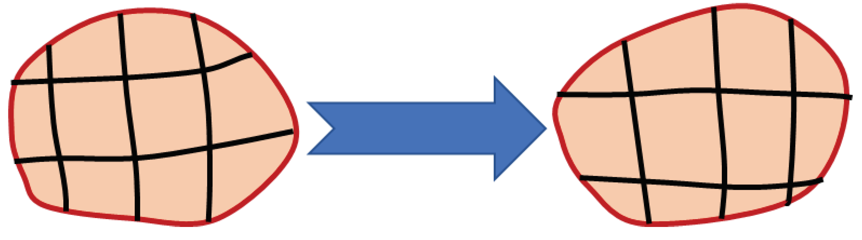 Preprints 79756 g005