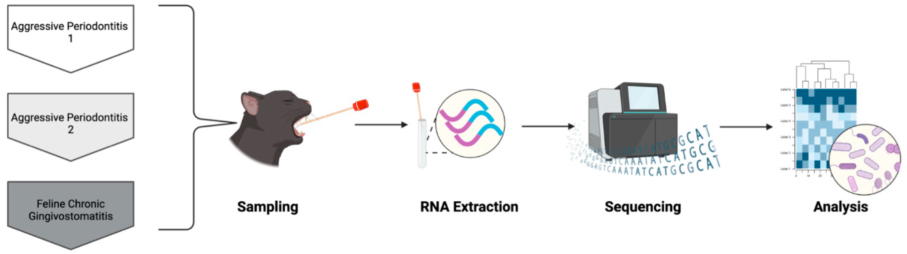 Preprints 148970 g001