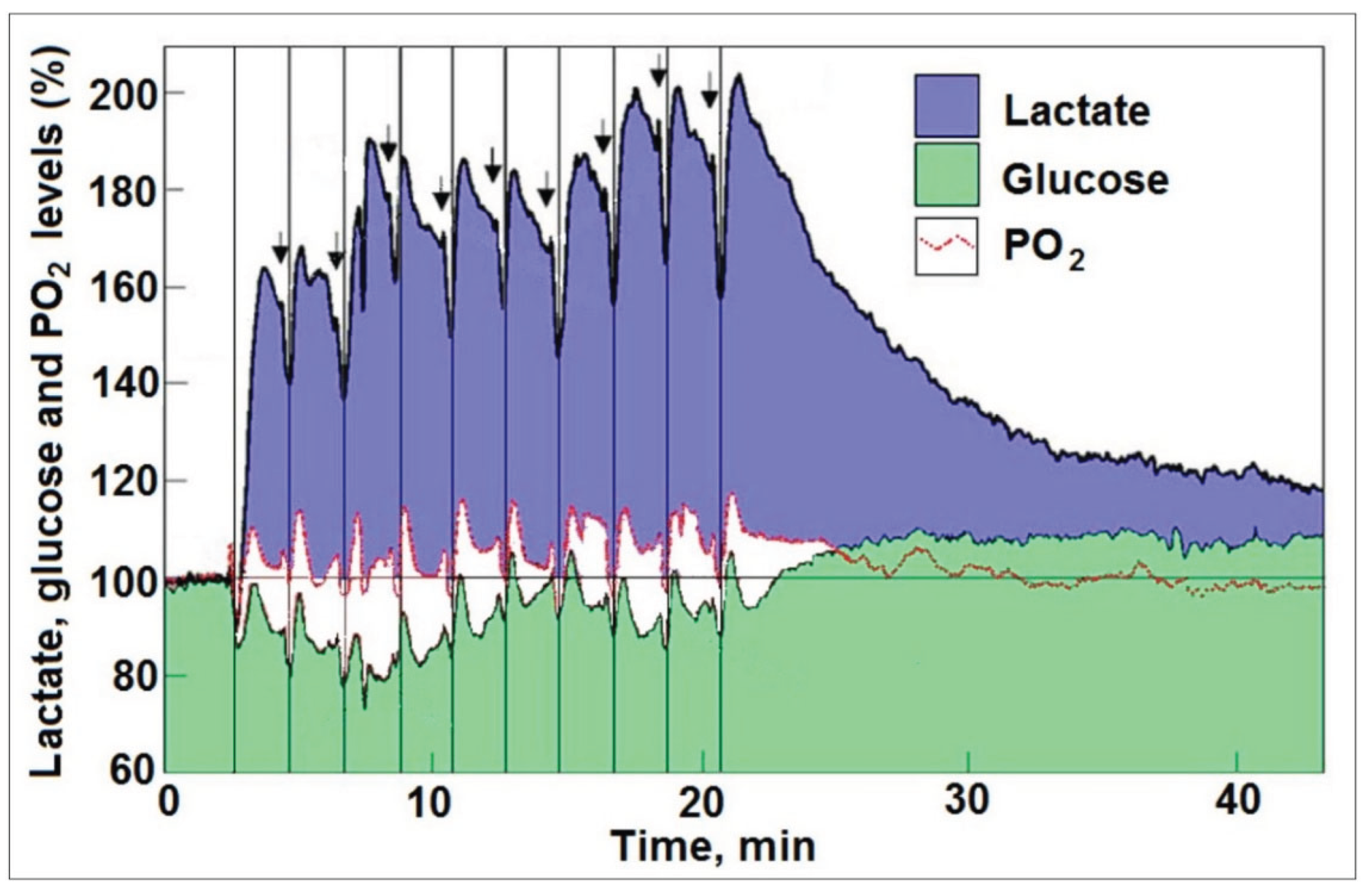 Preprints 179944 g001