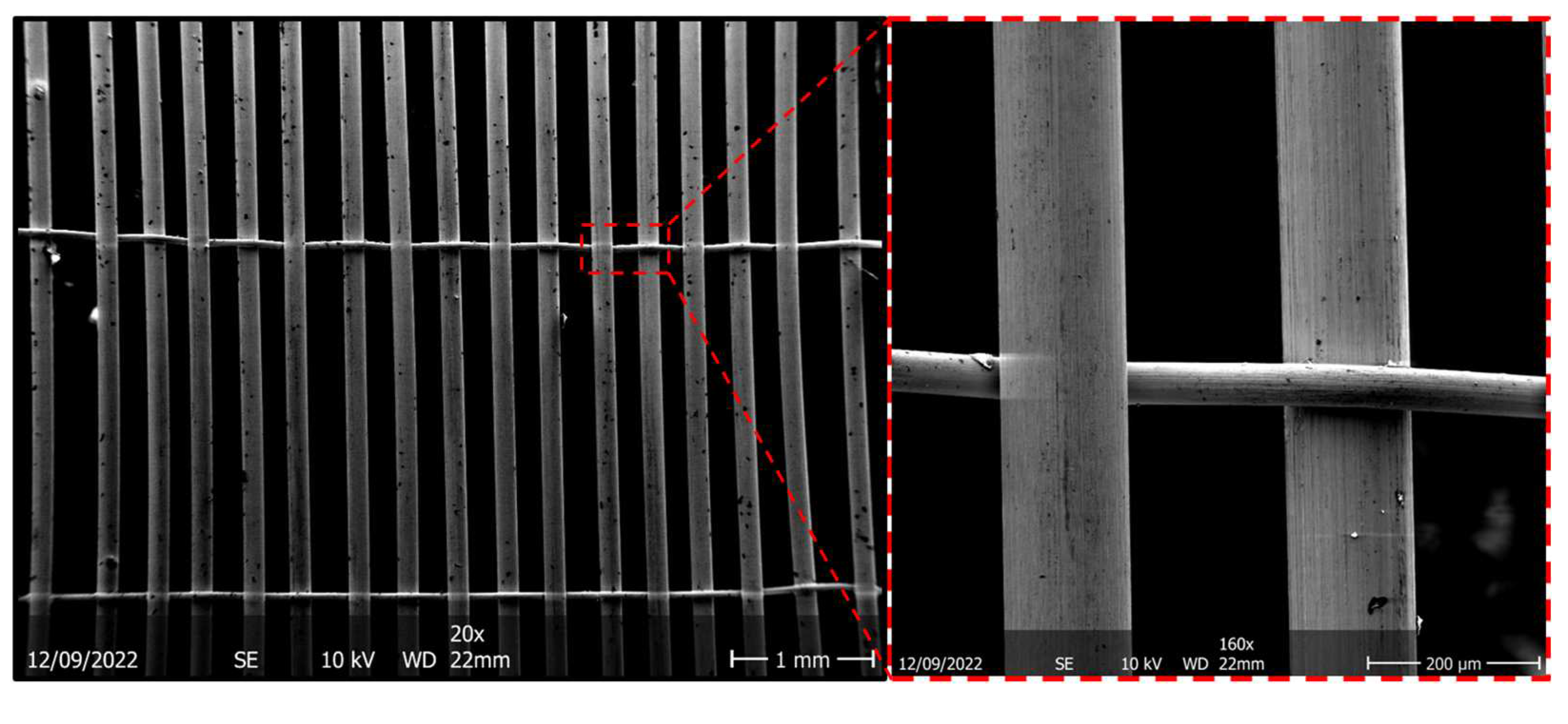 Preprints 71812 g003