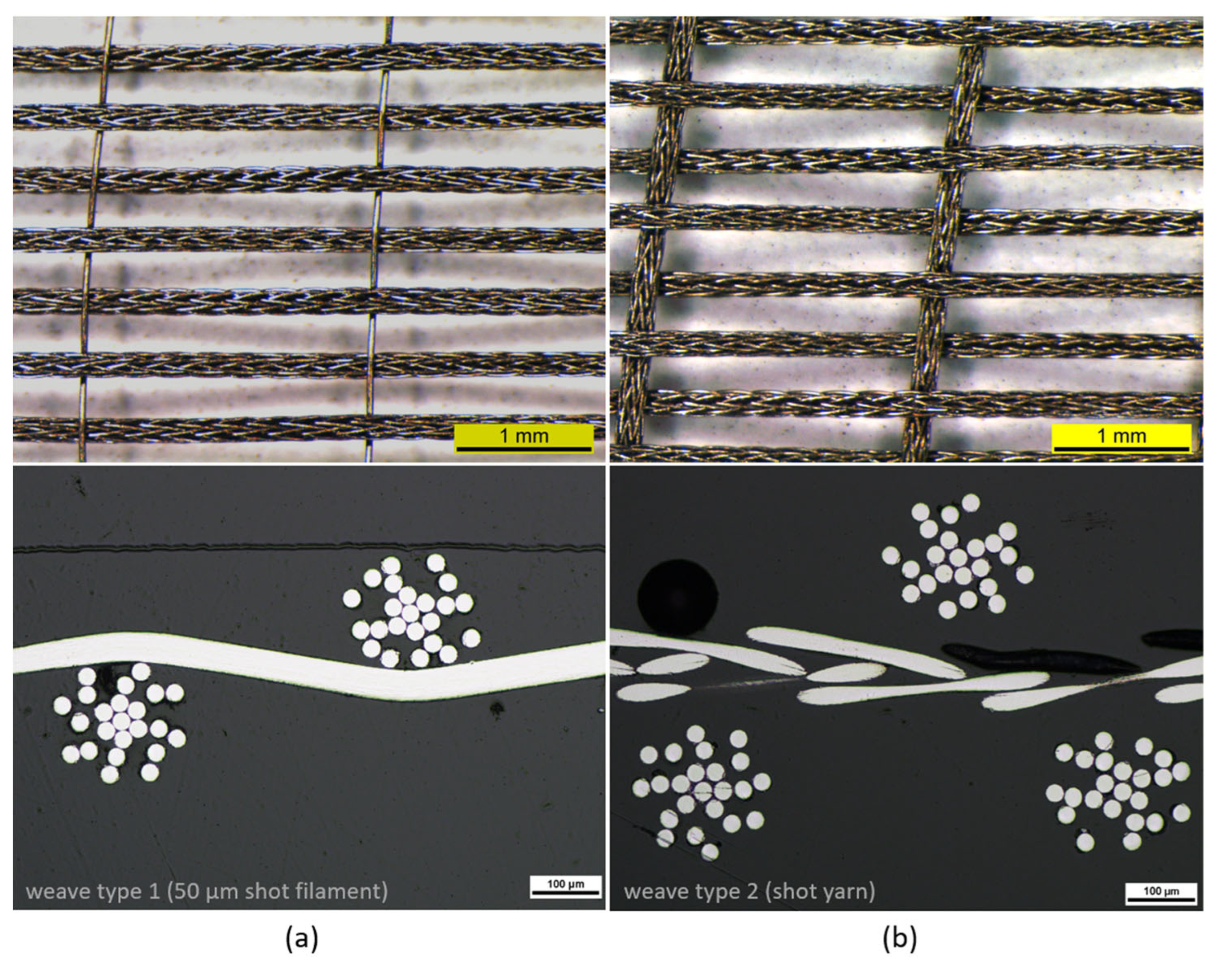Preprints 71812 g005