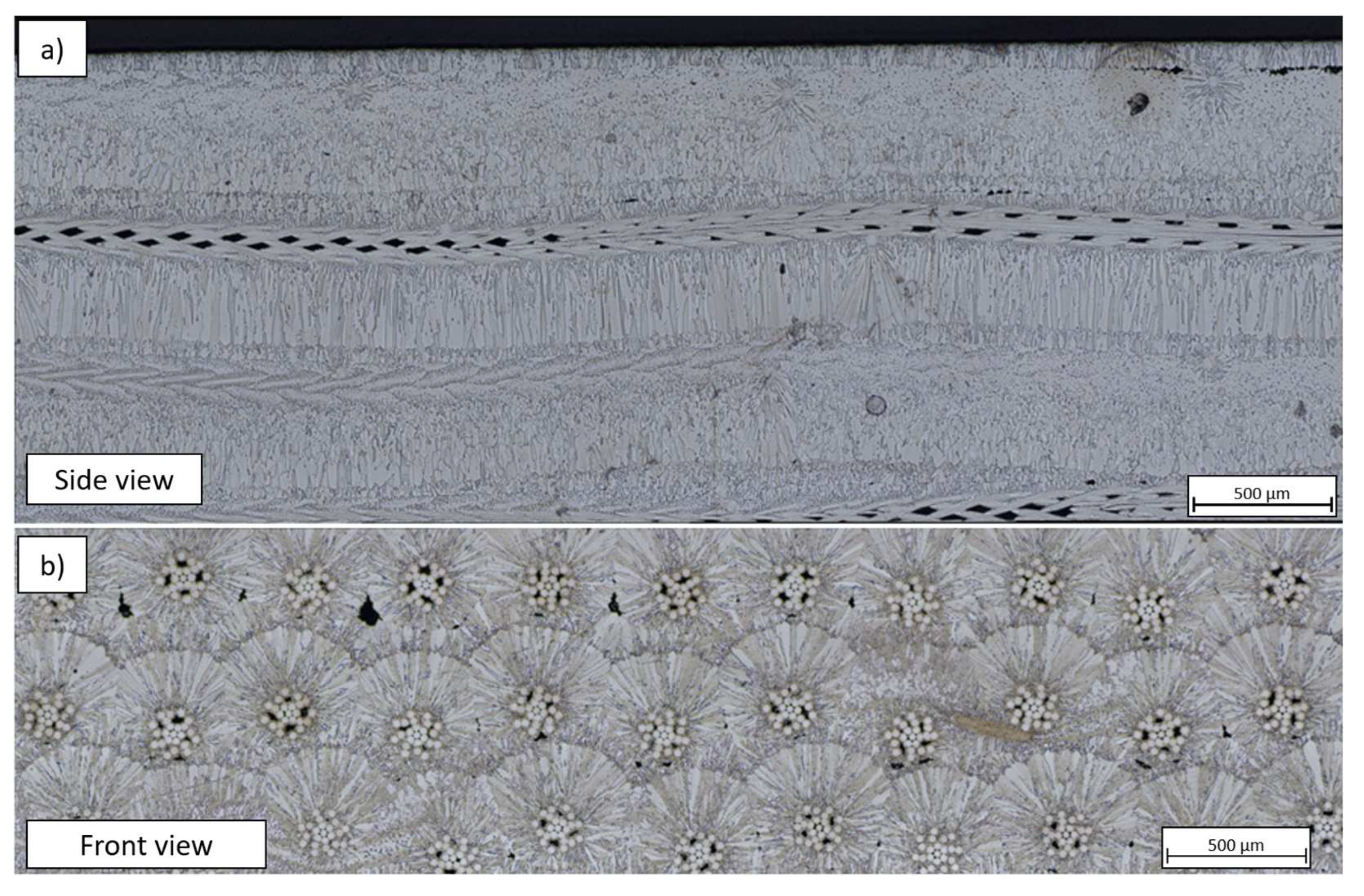 Preprints 71812 g009