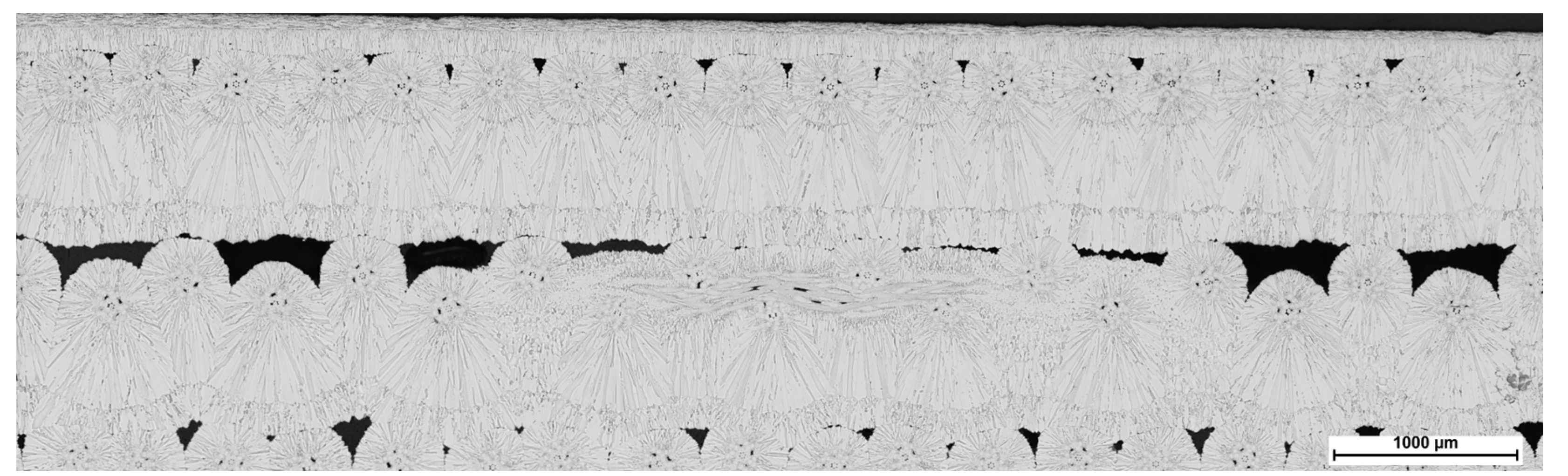 Preprints 71812 g010