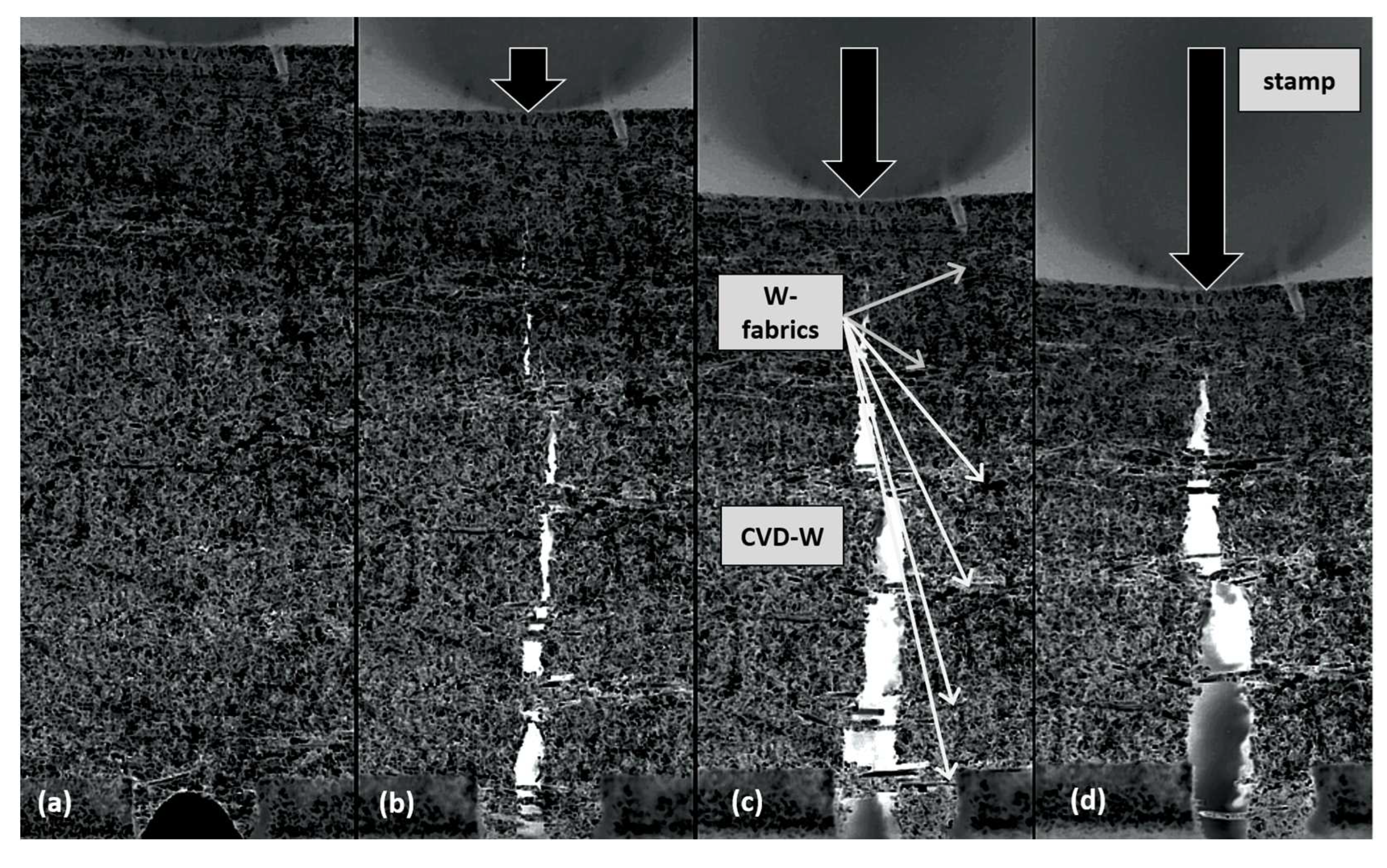 Preprints 71812 g012