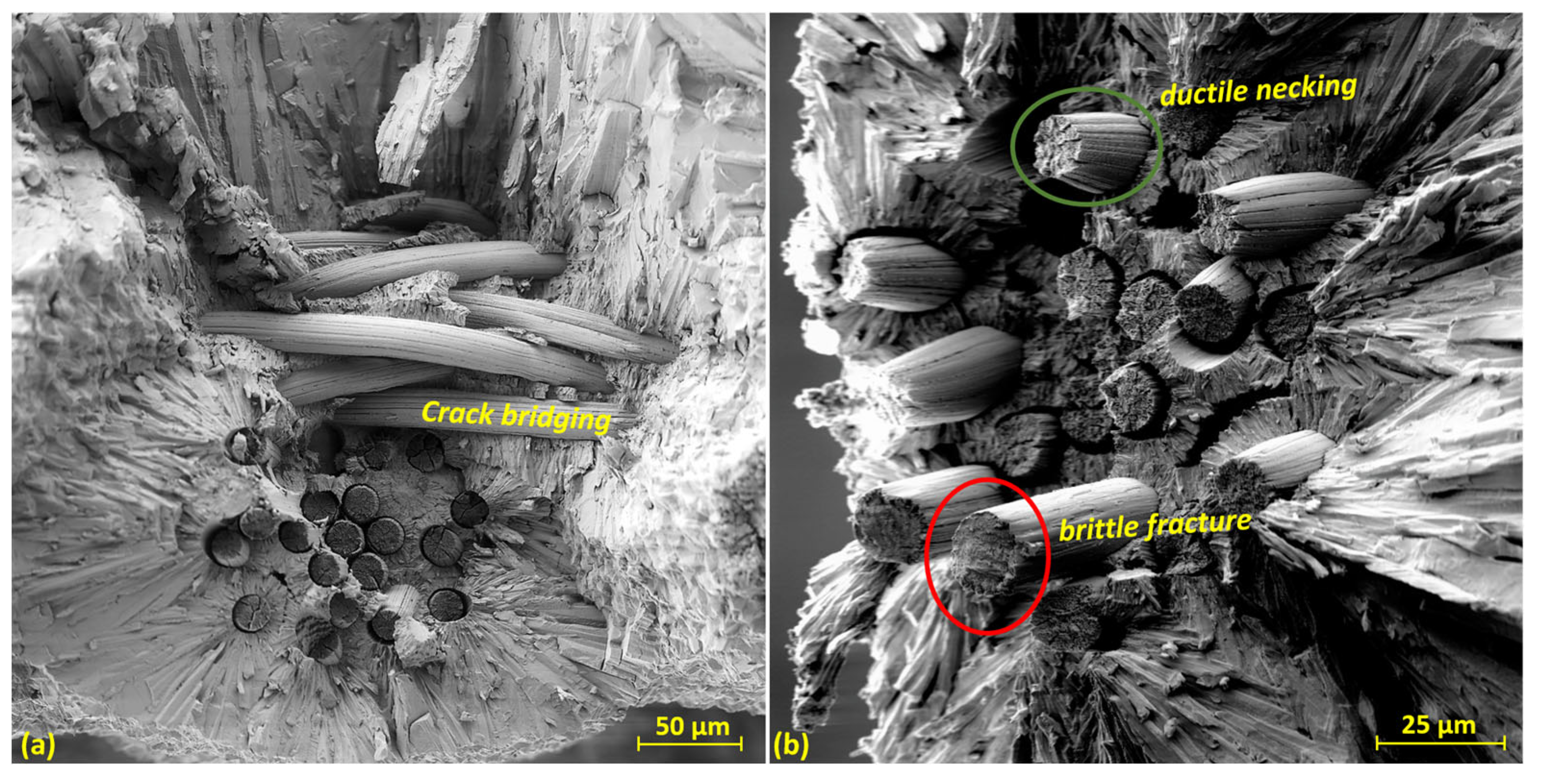 Preprints 71812 g014