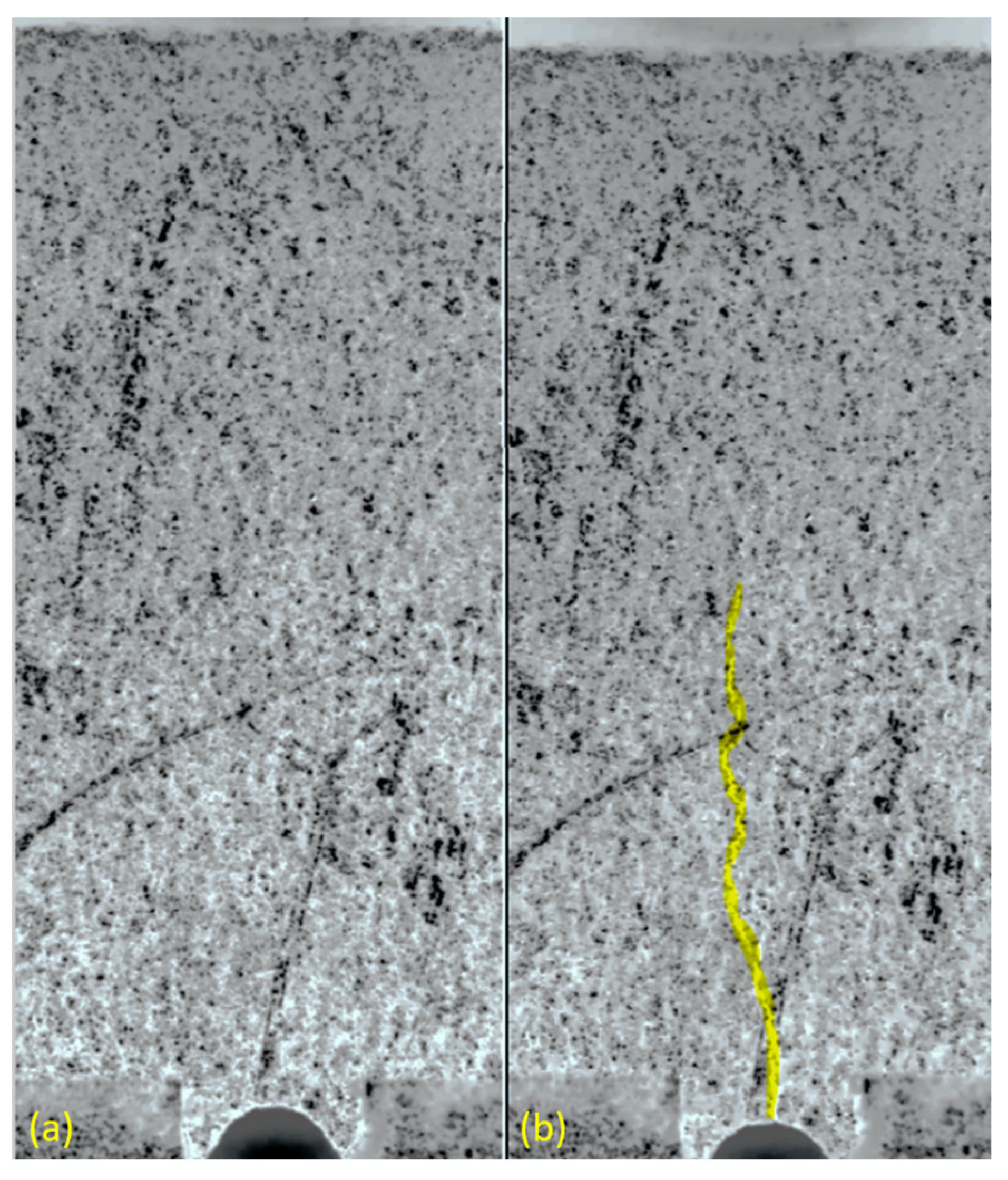 Preprints 71812 g015