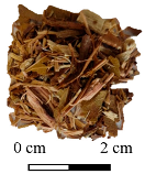 Preprints 154326 i004