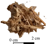 Preprints 154326 i007