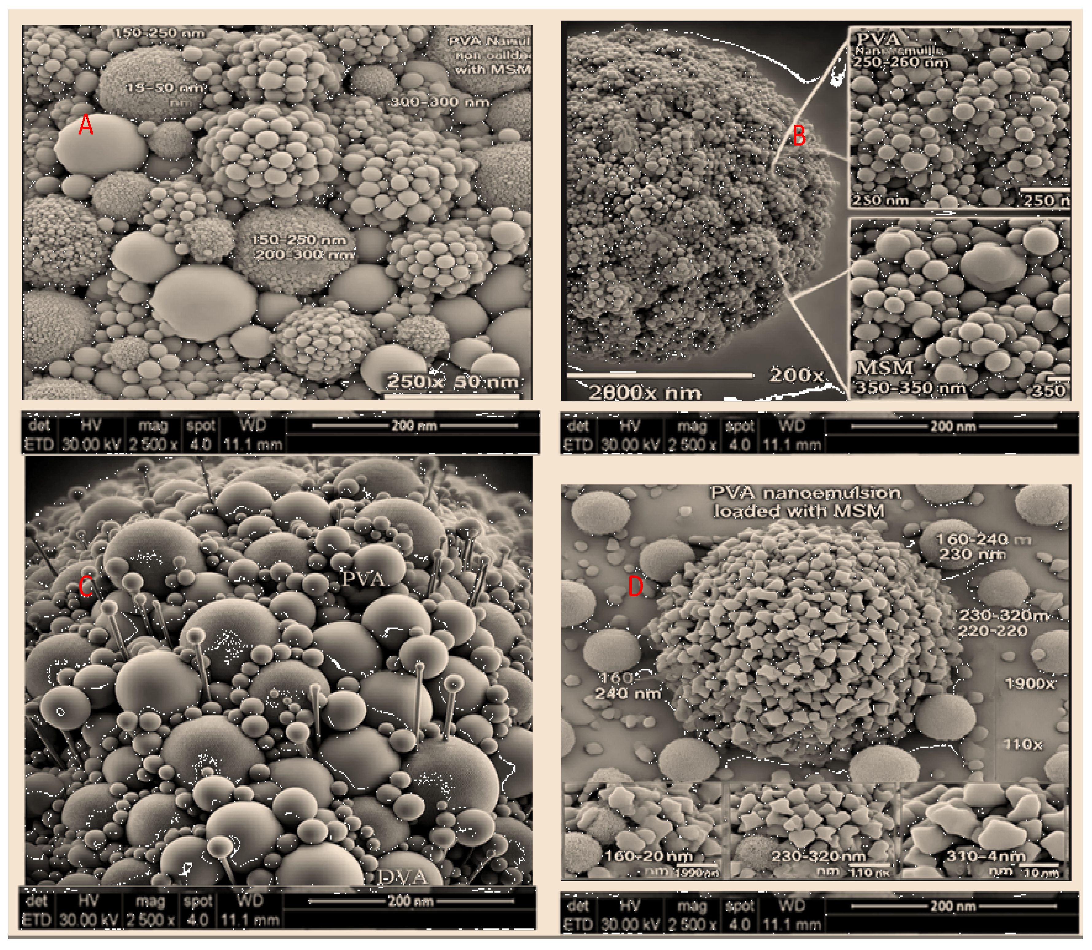 Preprints 175002 g003