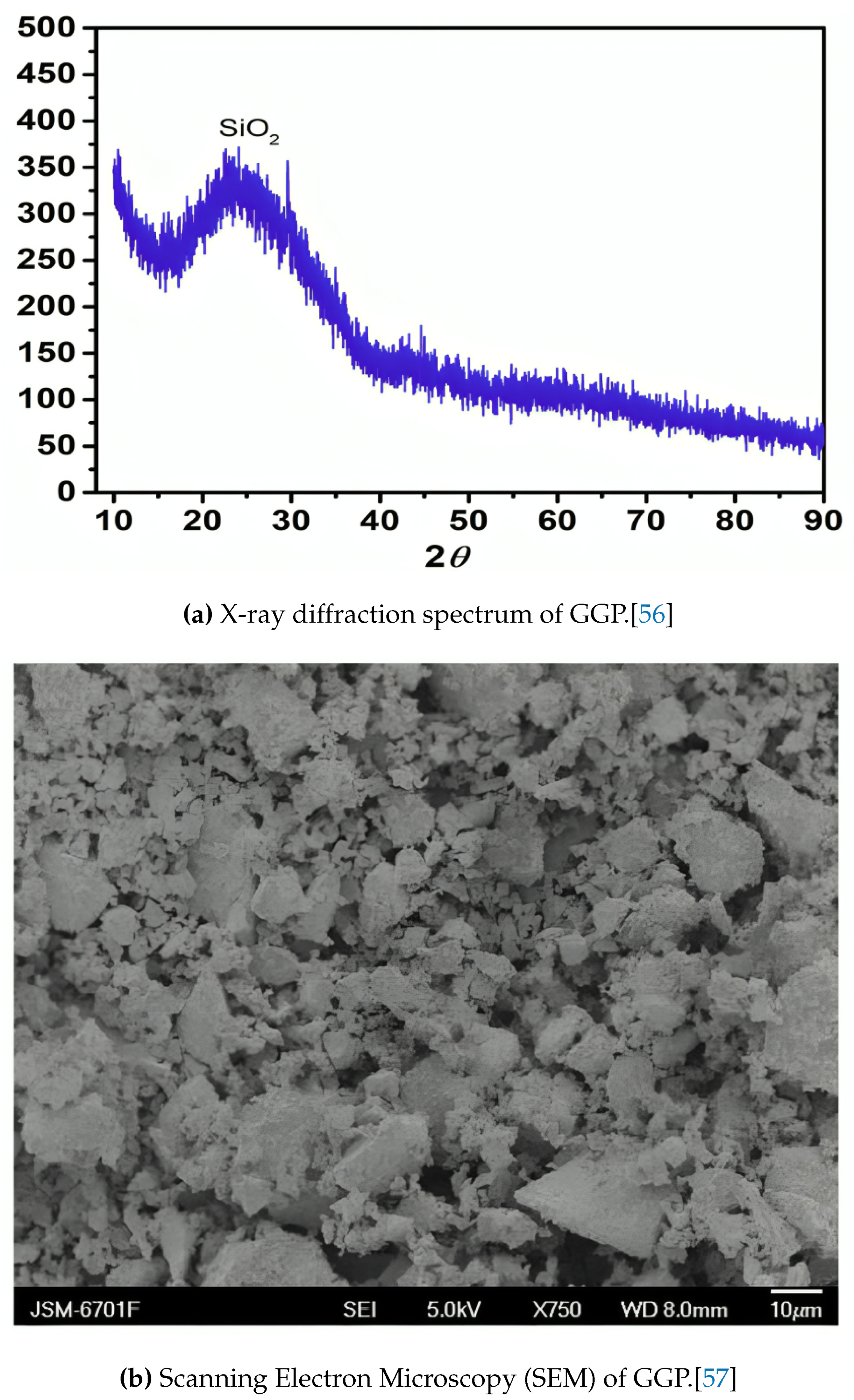 Preprints 148108 g005