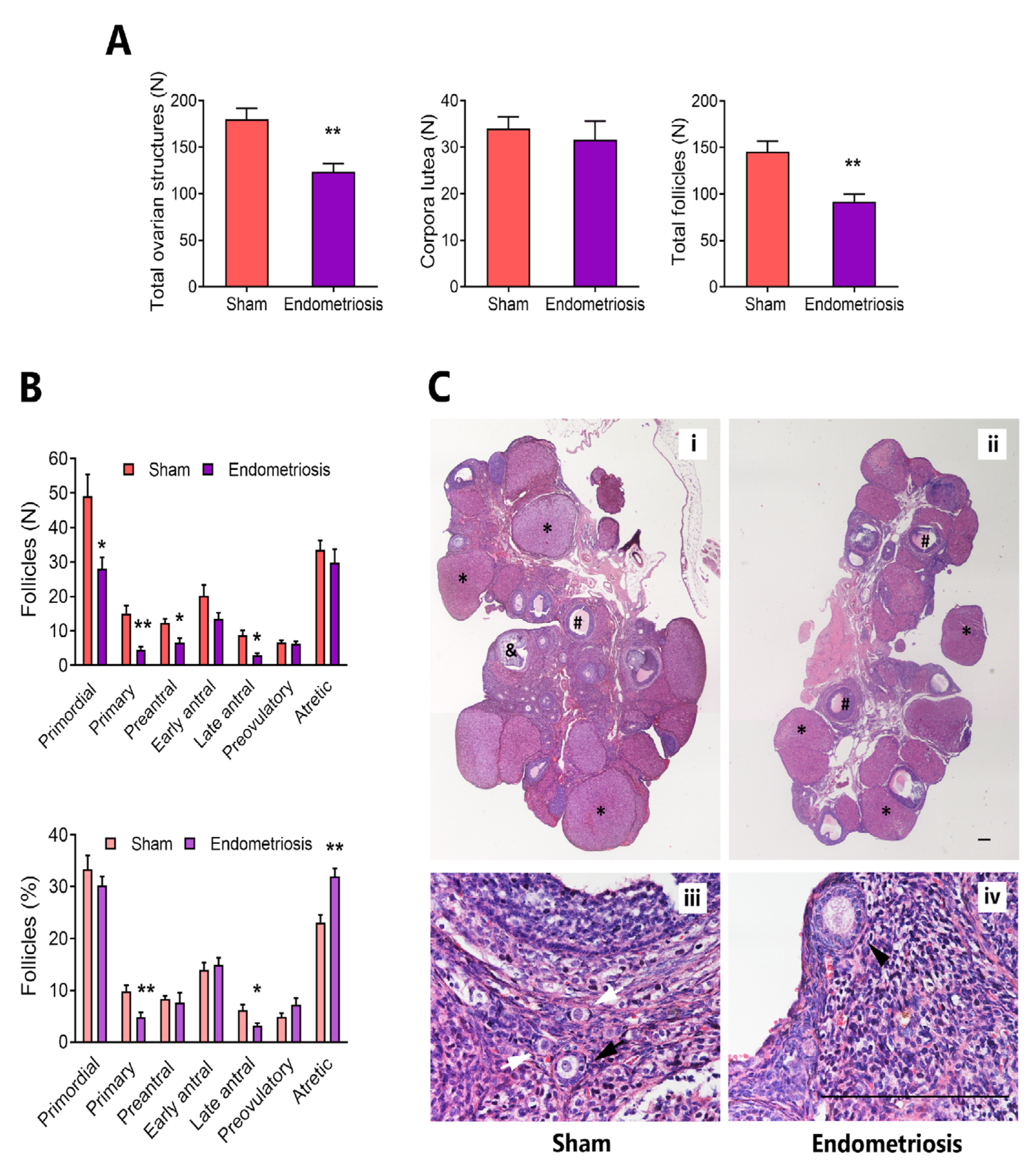 Preprints 145611 g001