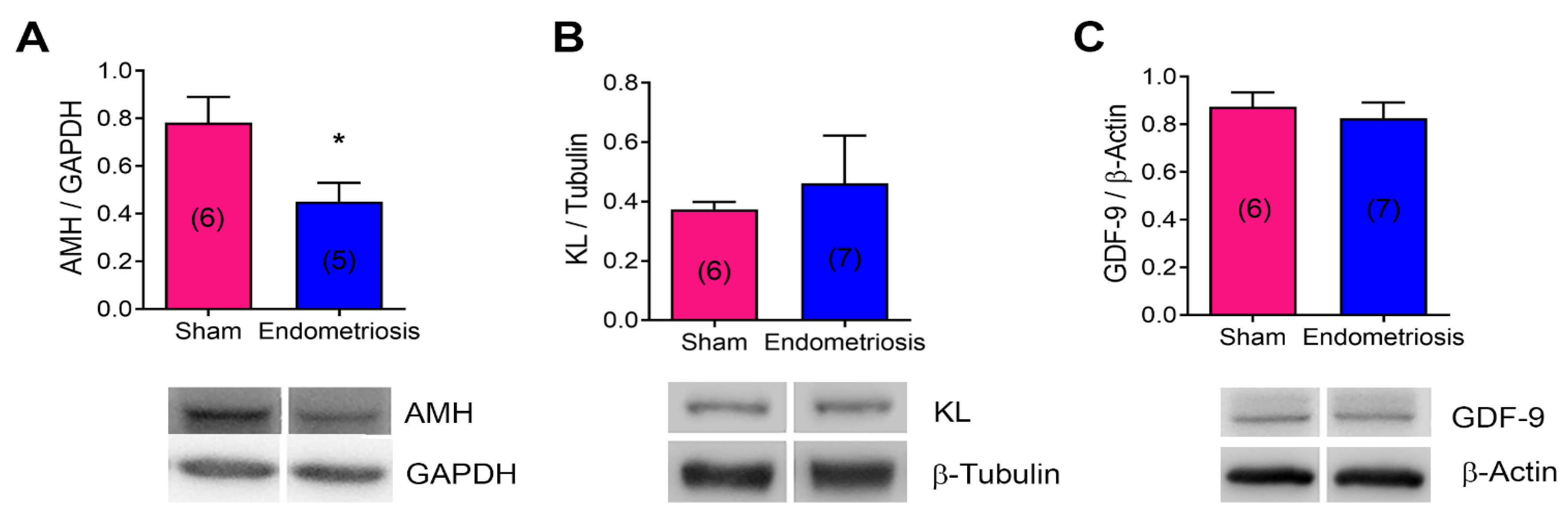 Preprints 145611 g004