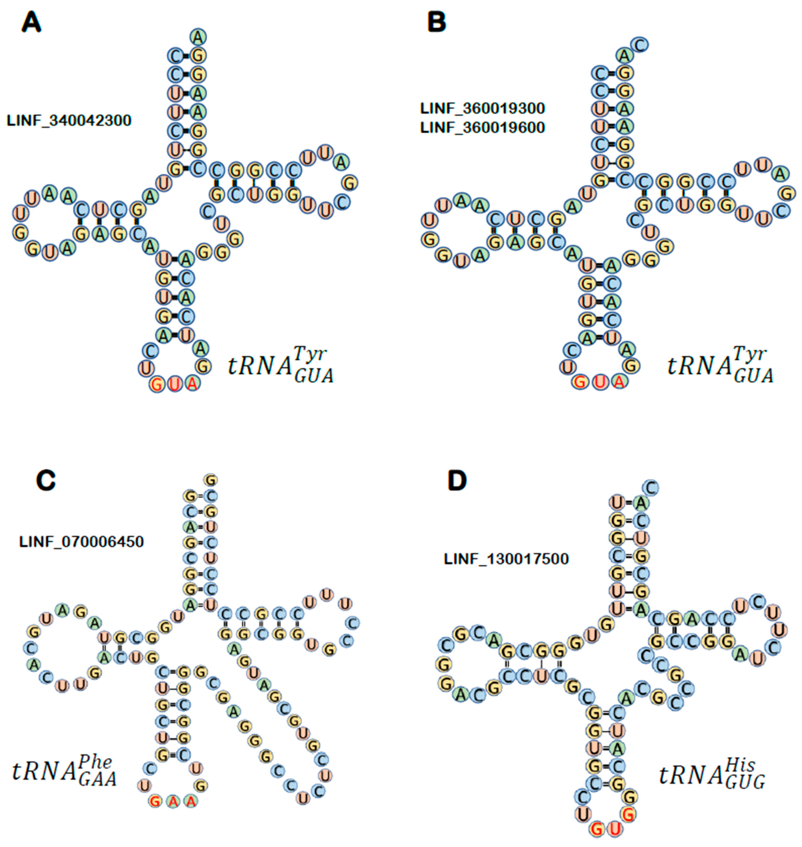 Preprints 209139 g001