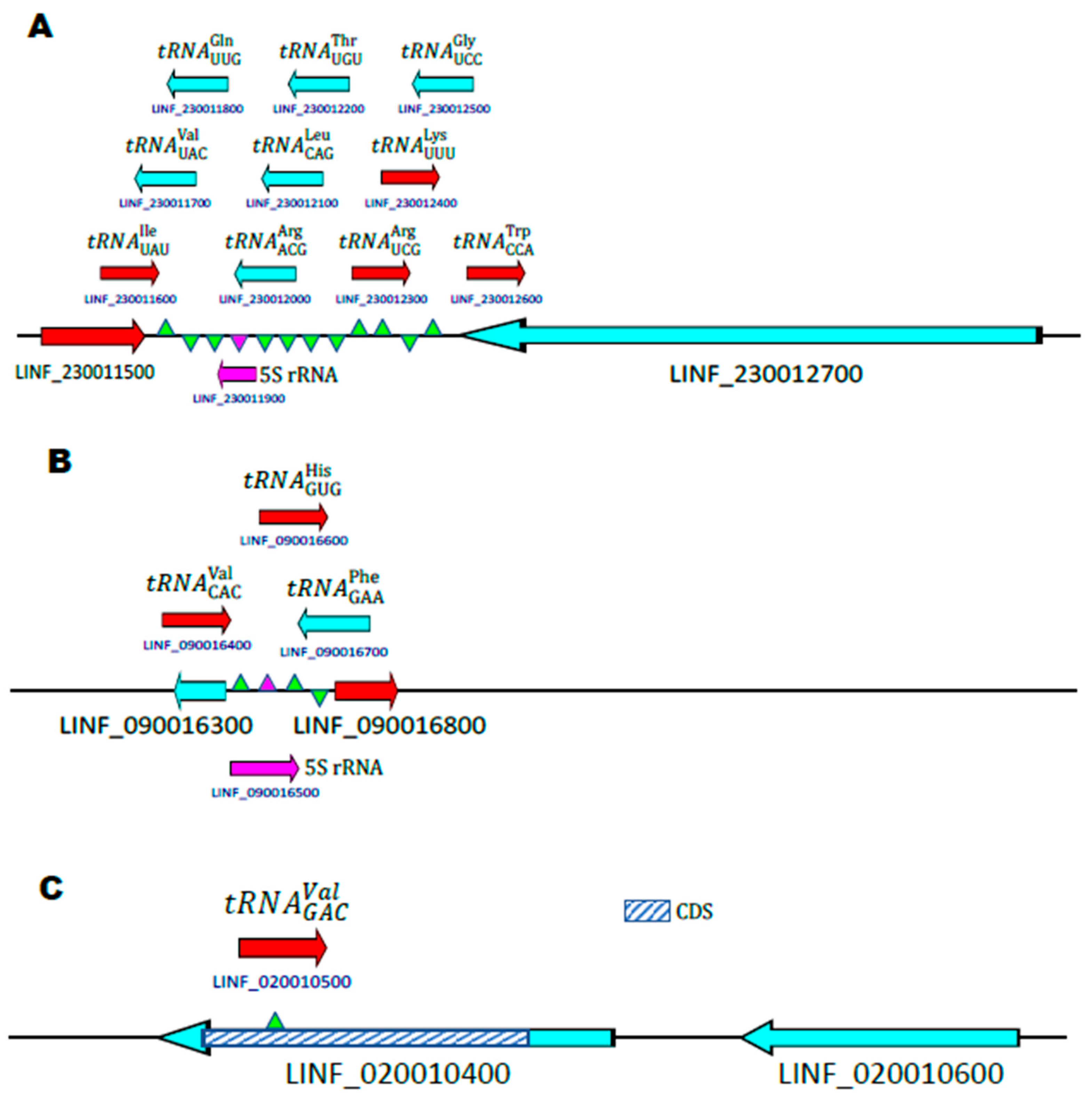 Preprints 209139 g002