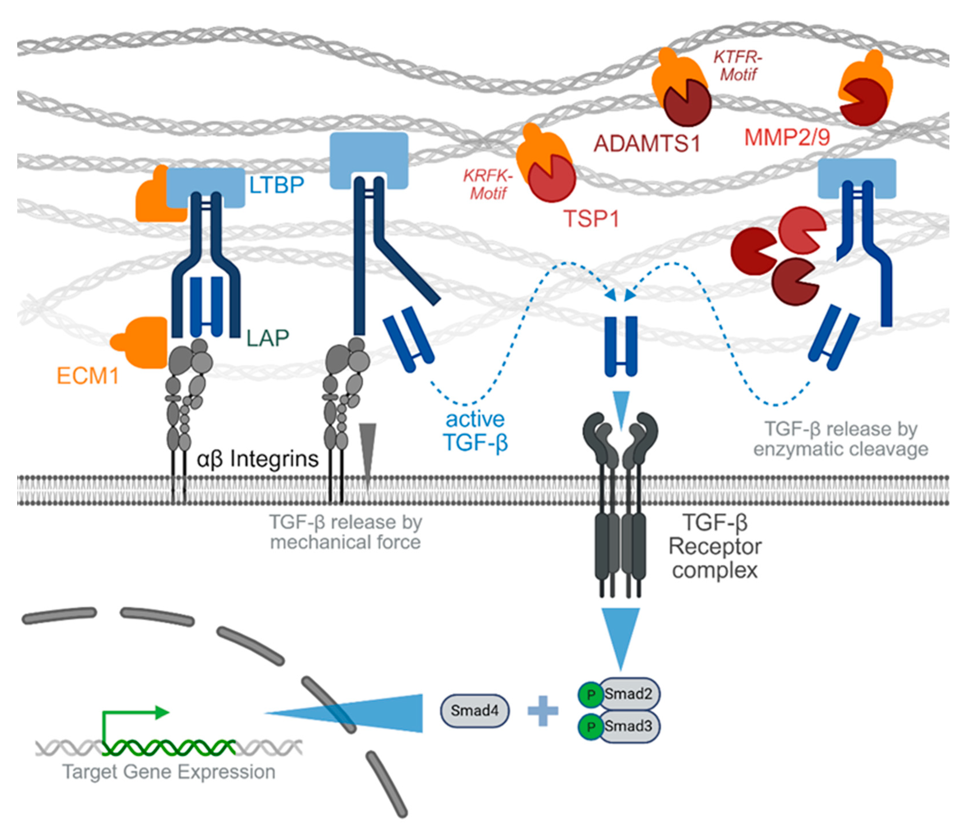 Preprints 174778 g001