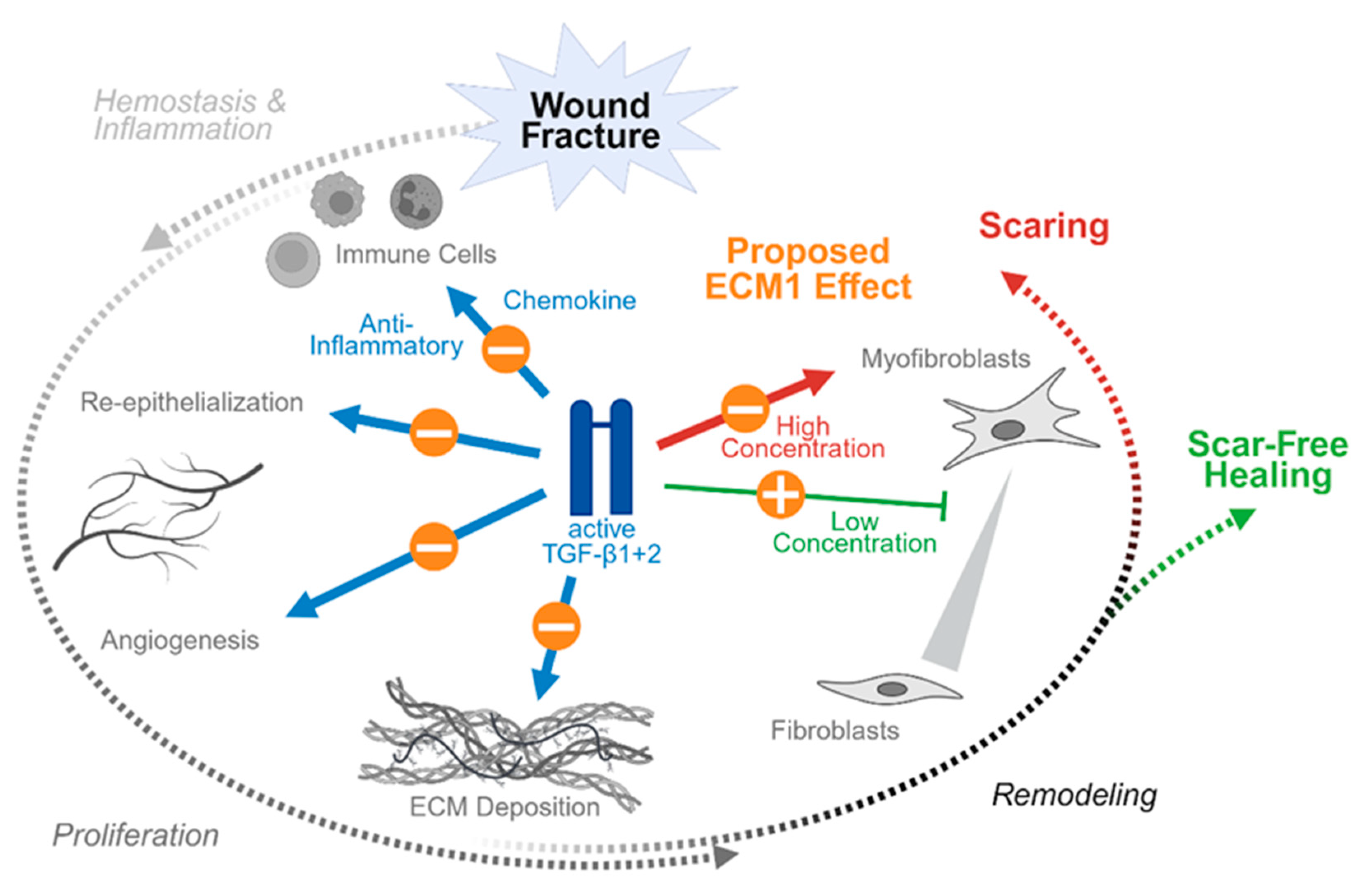 Preprints 174778 g002