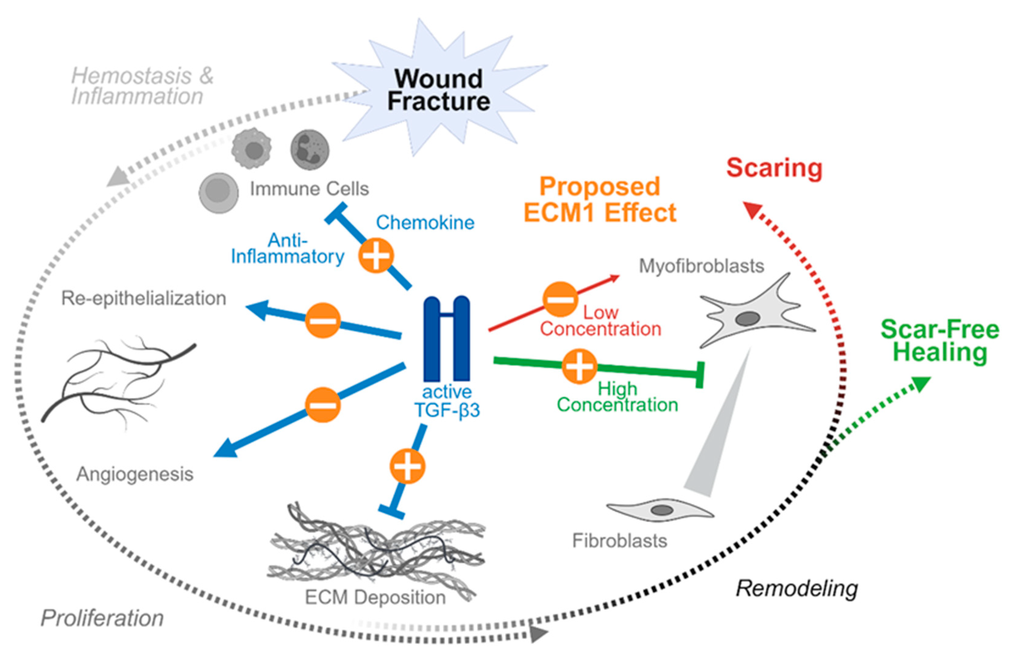 Preprints 174778 g003