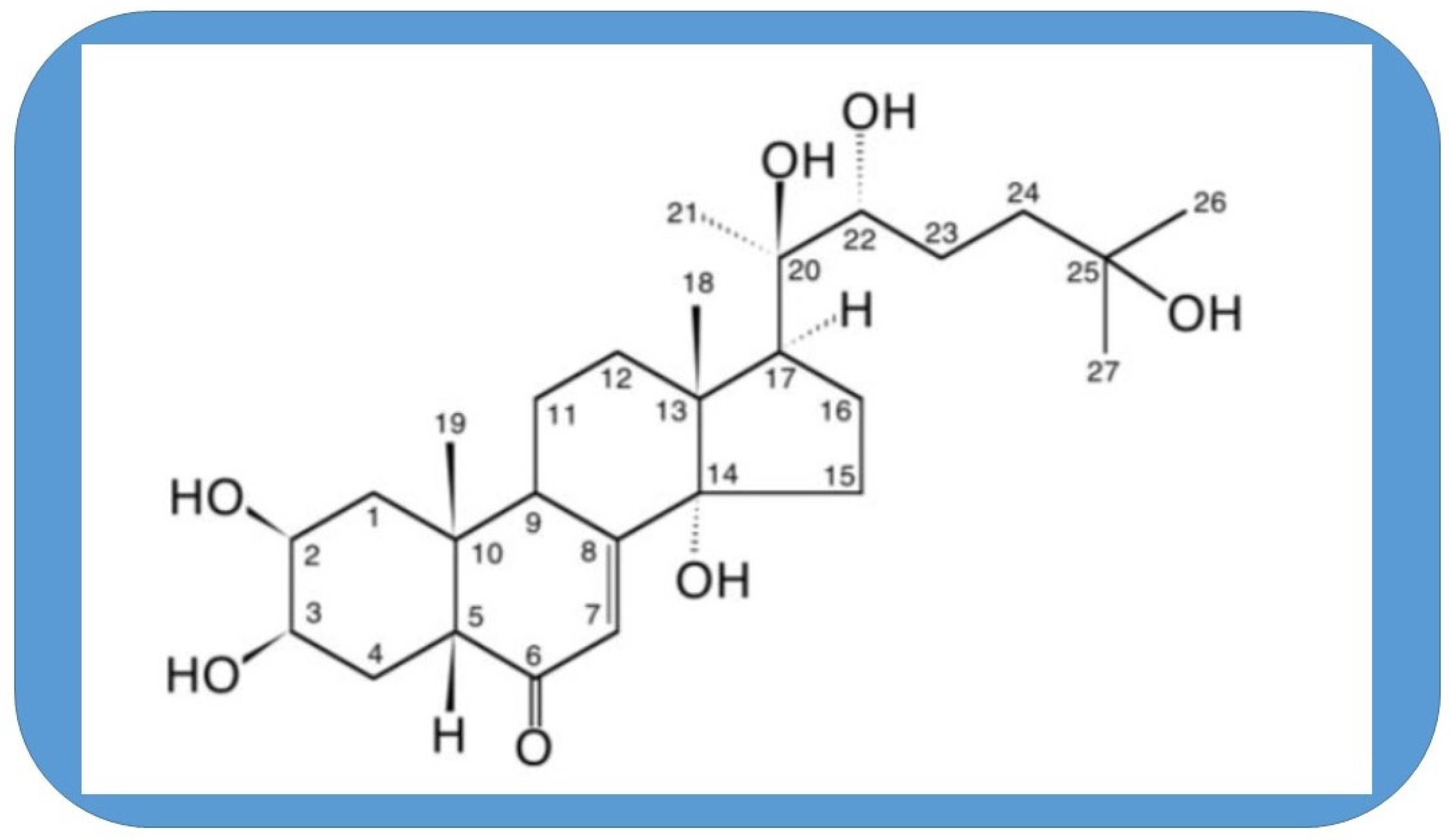 Preprints 139981 g001