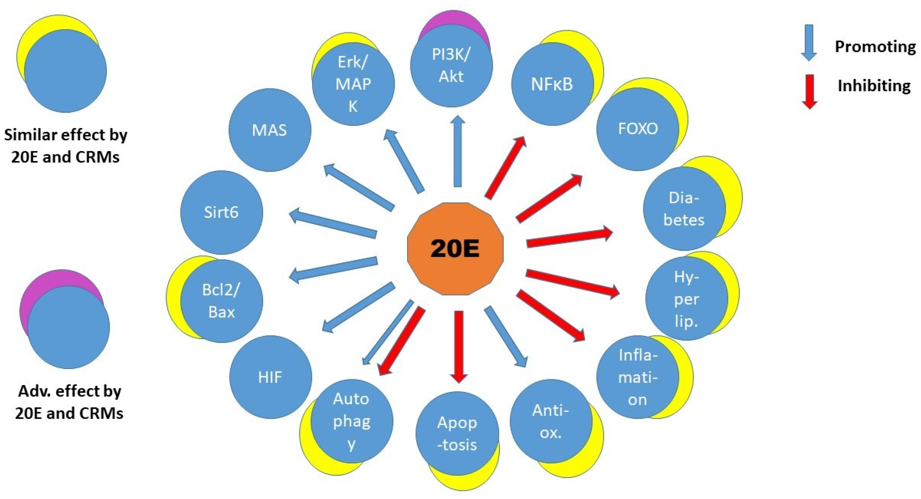 Preprints 139981 g002