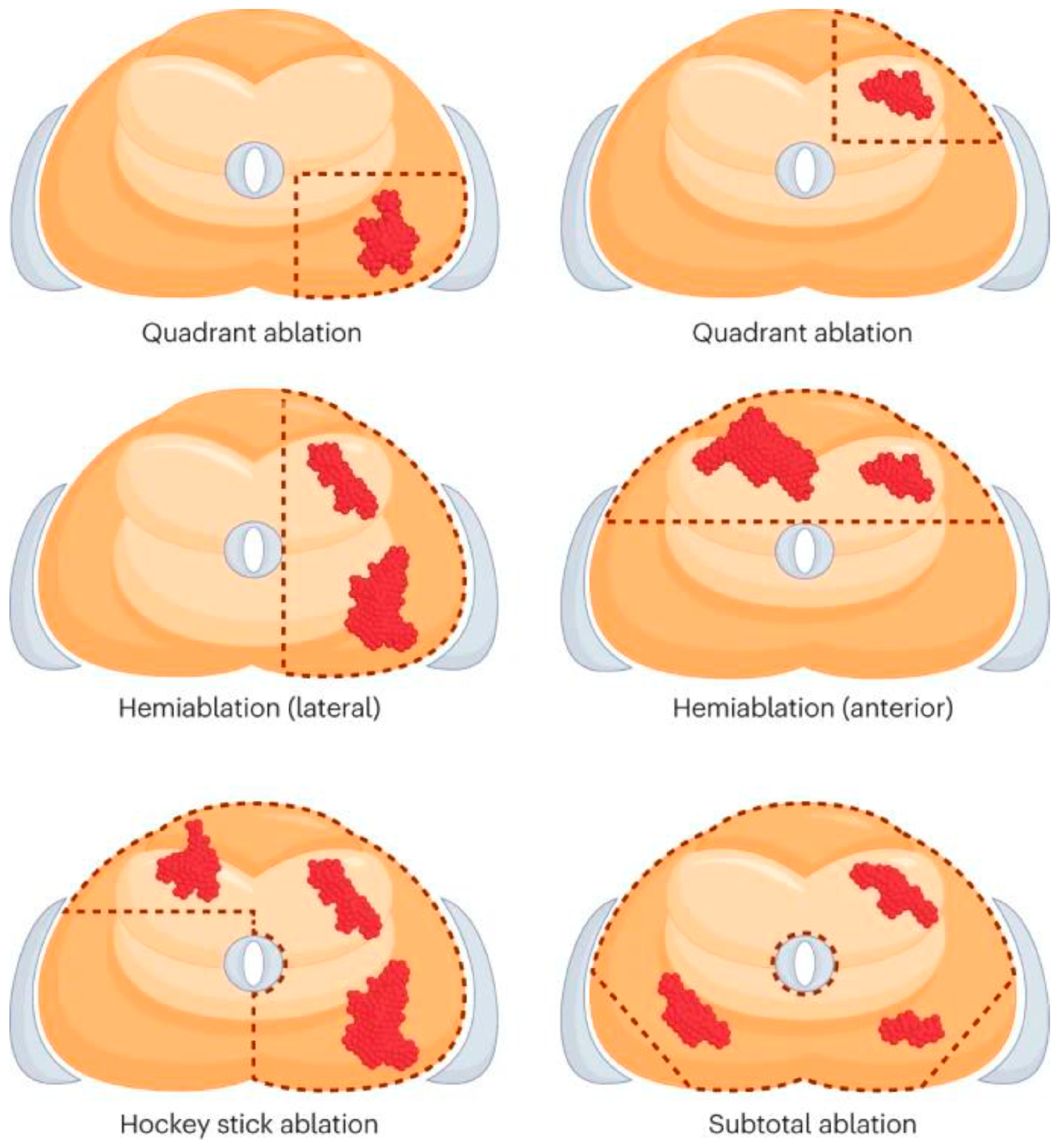 Preprints 109434 g001