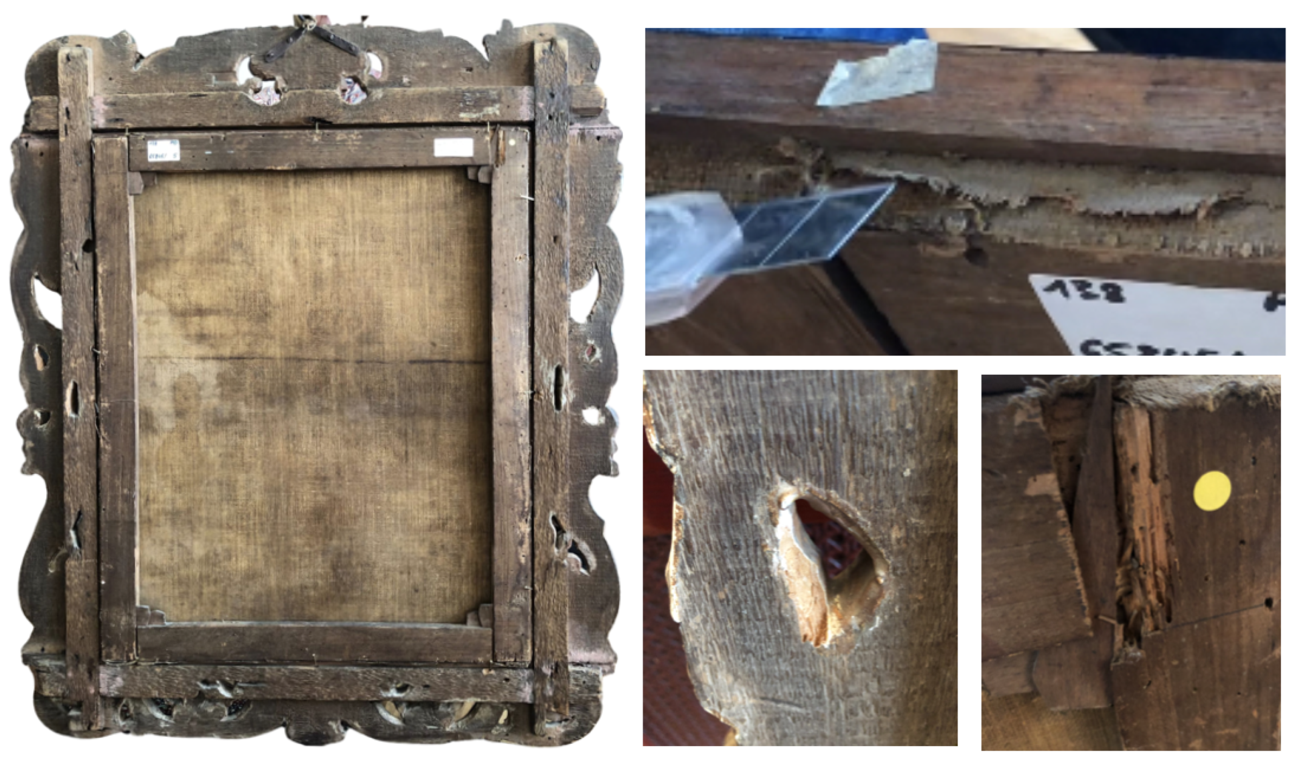 Preprints 140295 g003