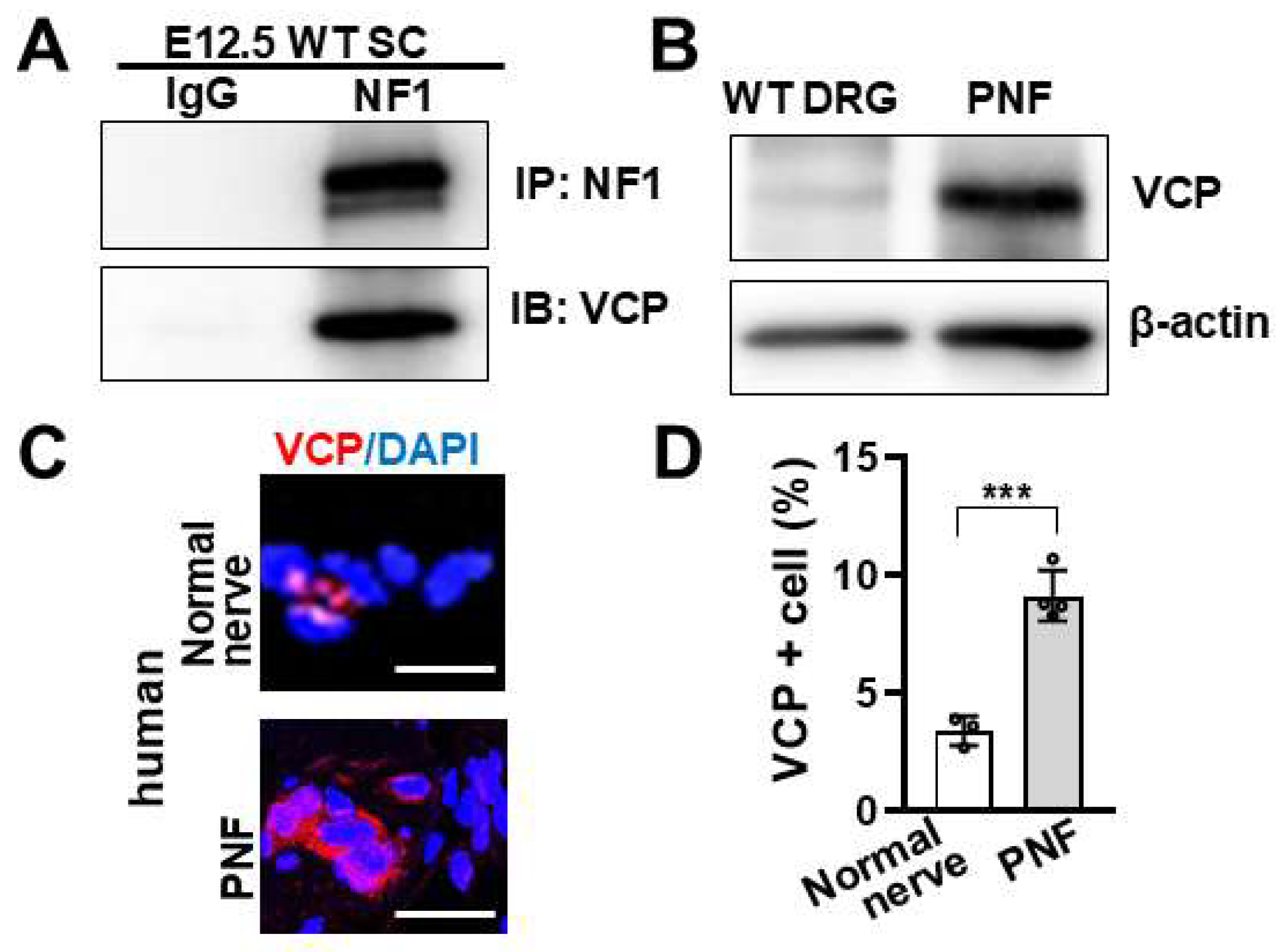 Preprints 201824 g001