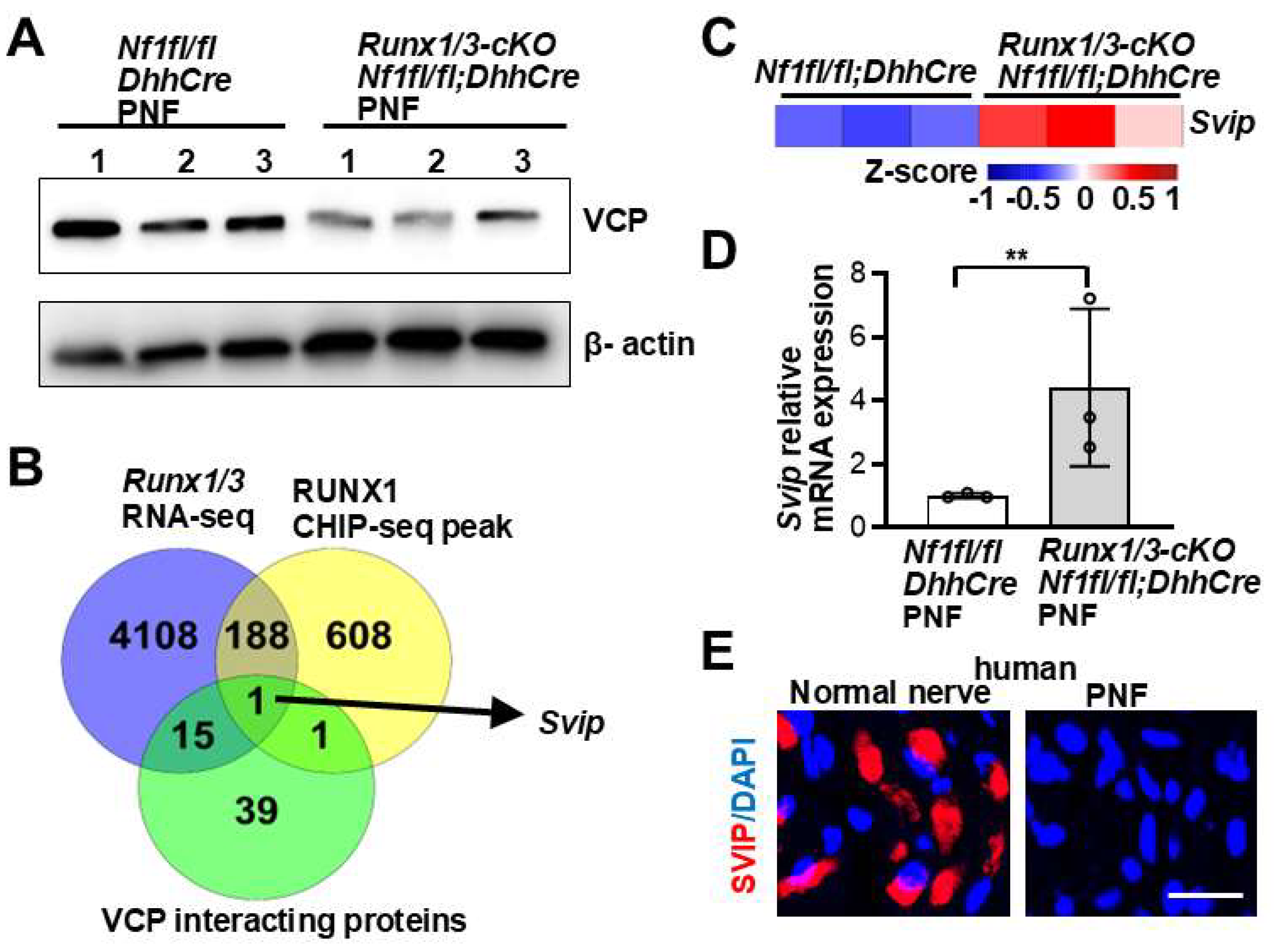 Preprints 201824 g002