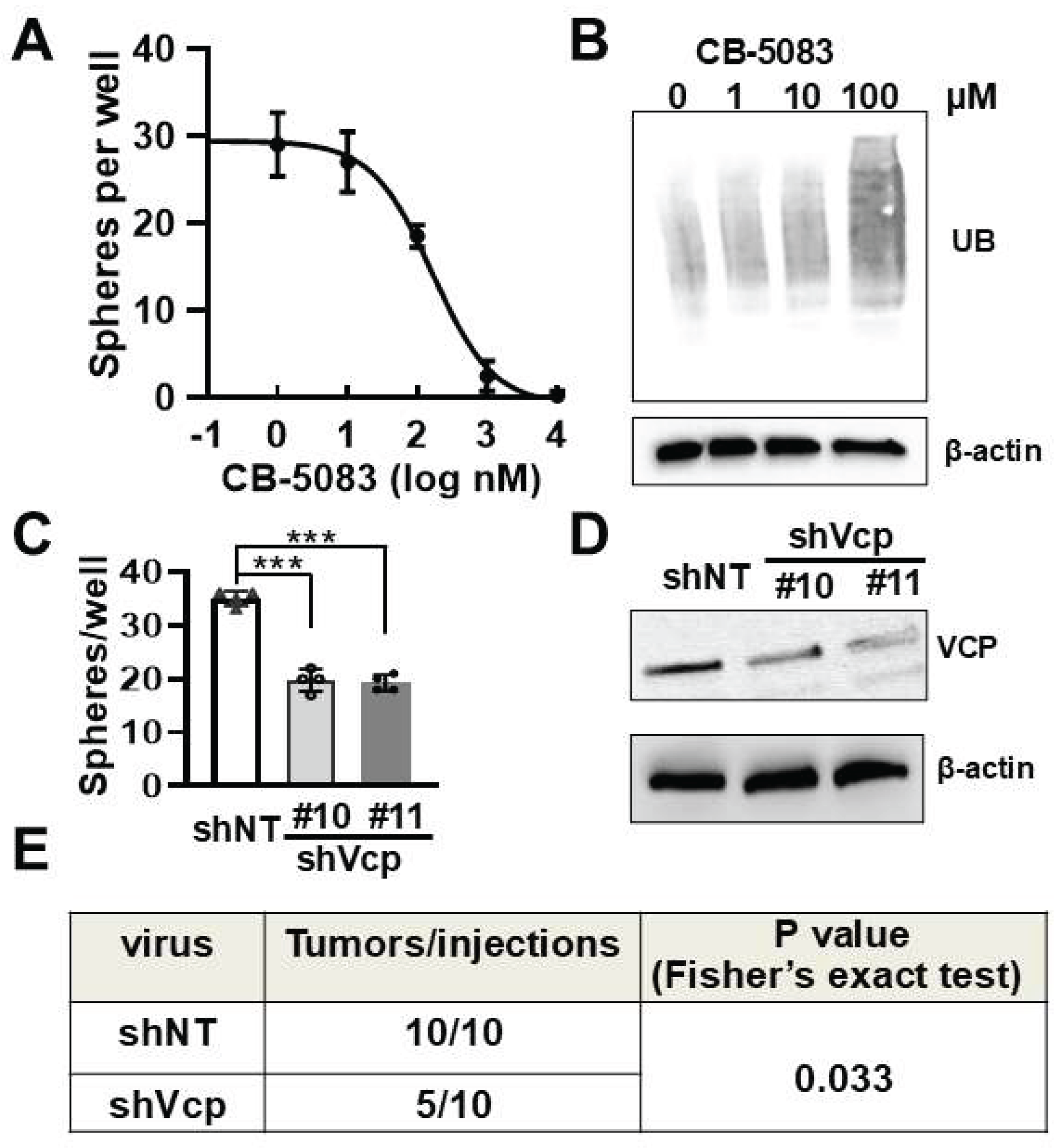Preprints 201824 g004