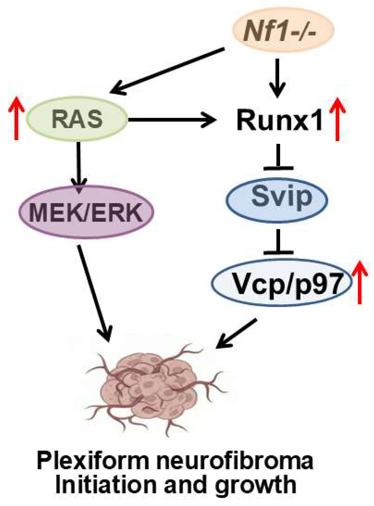 Preprints 201824 g007