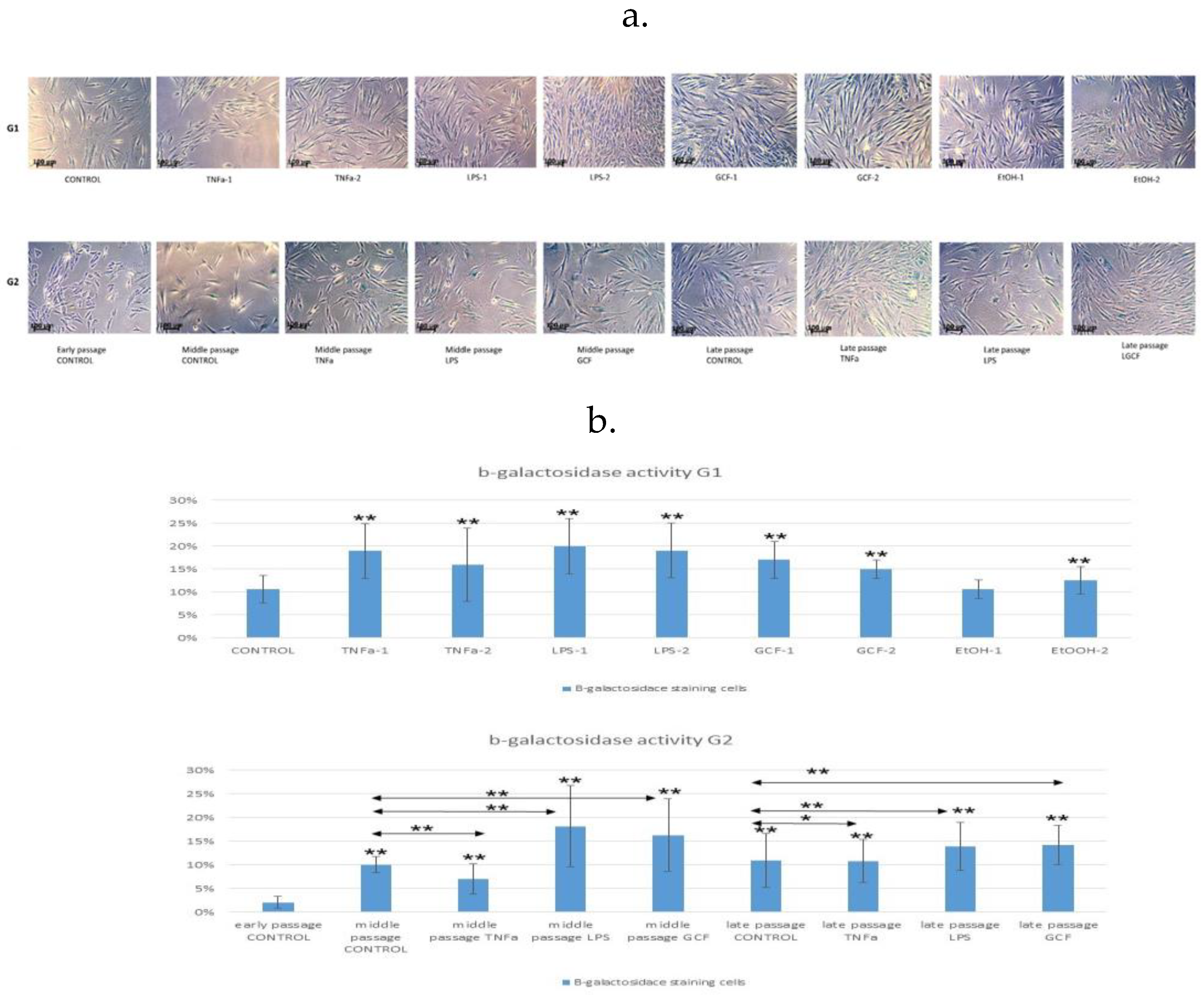 Preprints 90961 g001