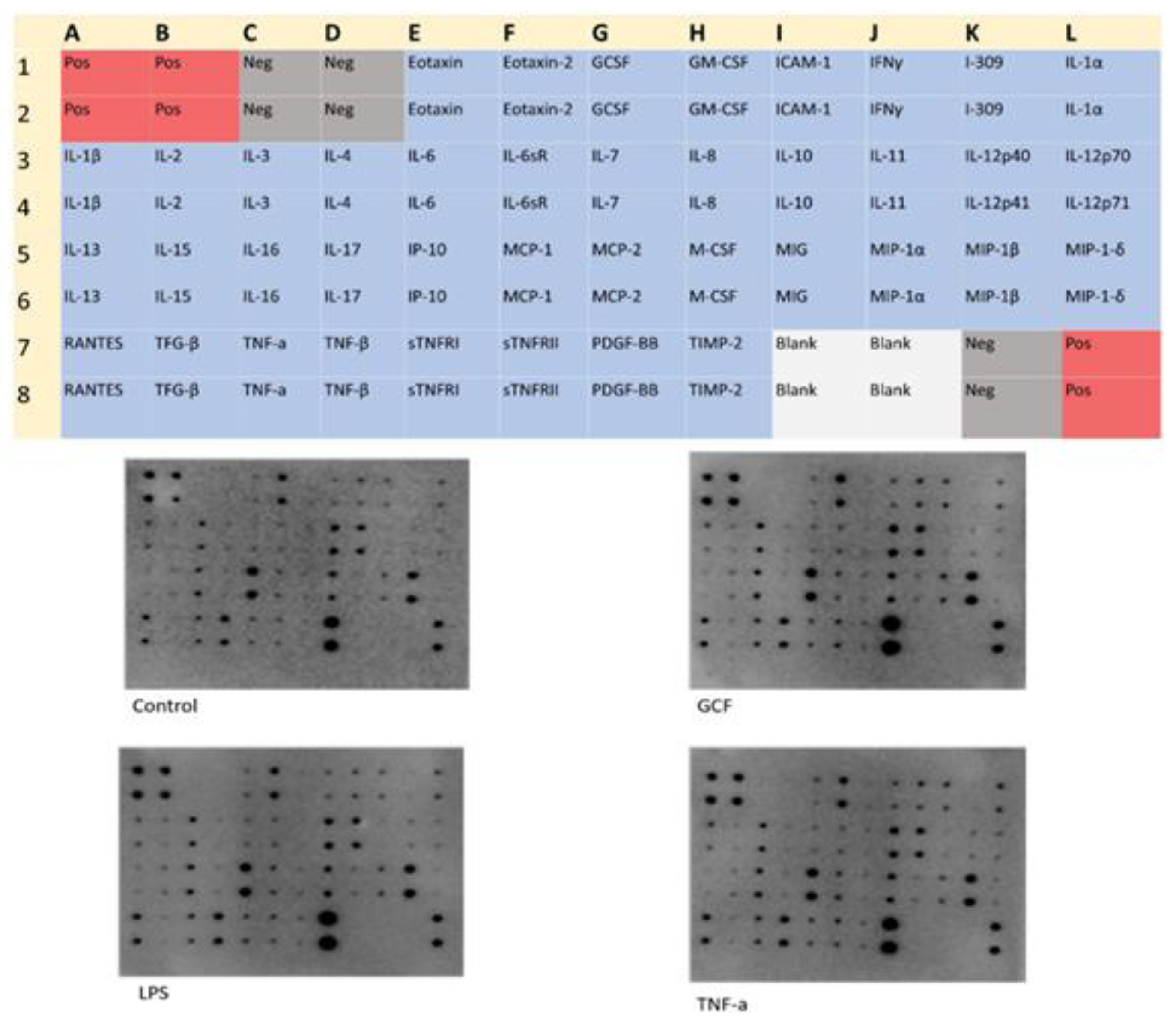 Preprints 90961 g003