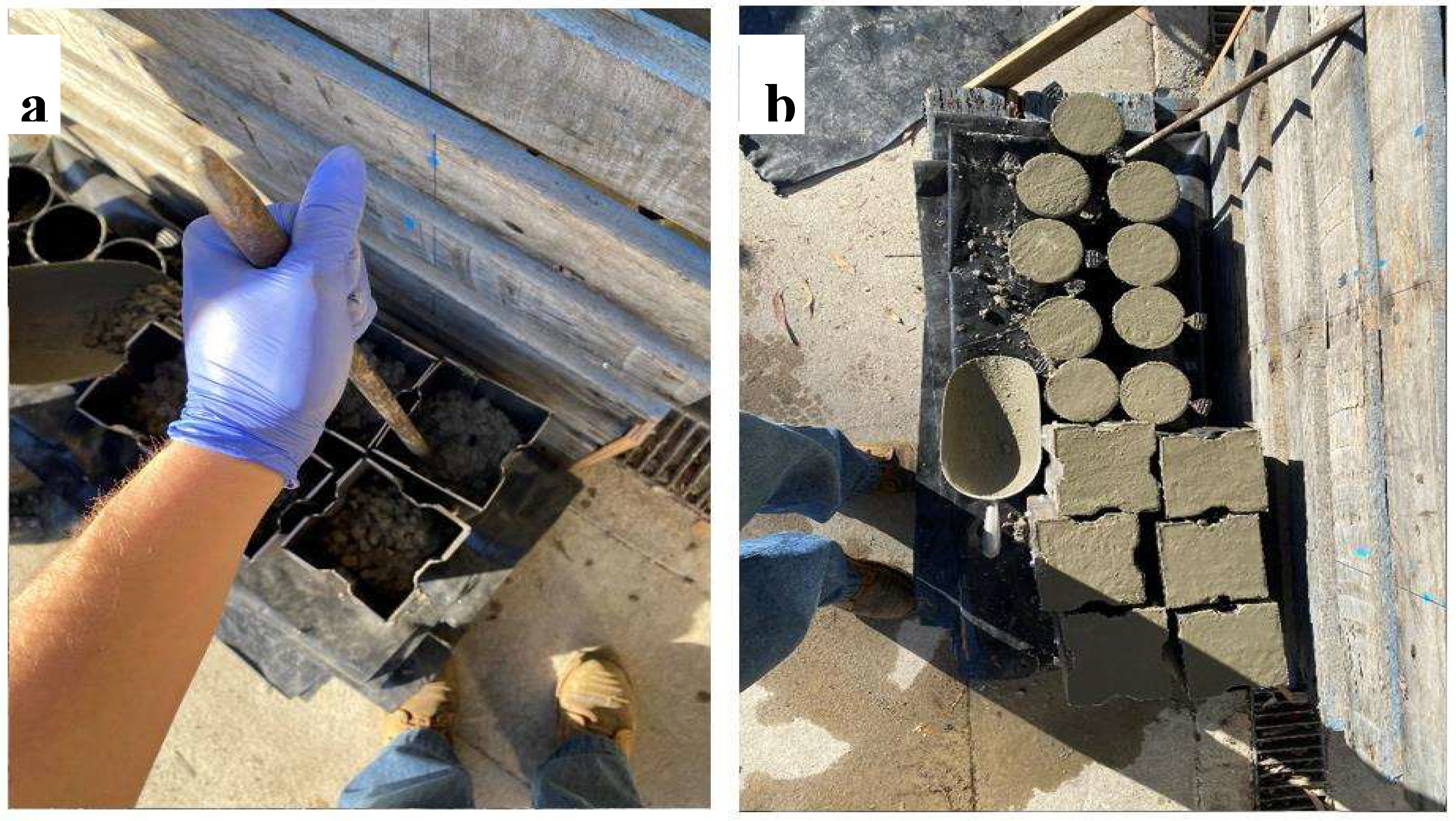 Preprints 154562 g004