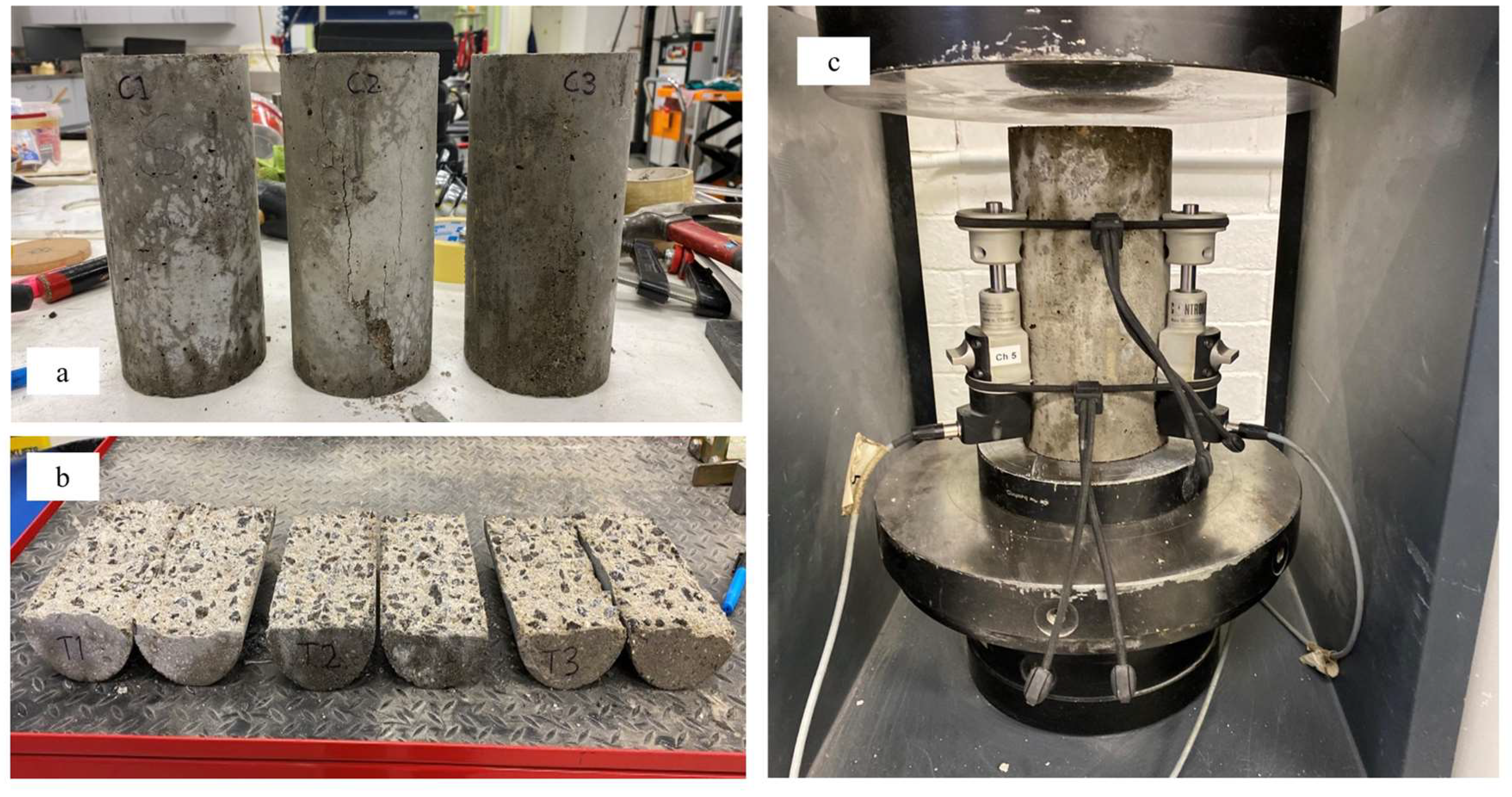 Preprints 154562 g007