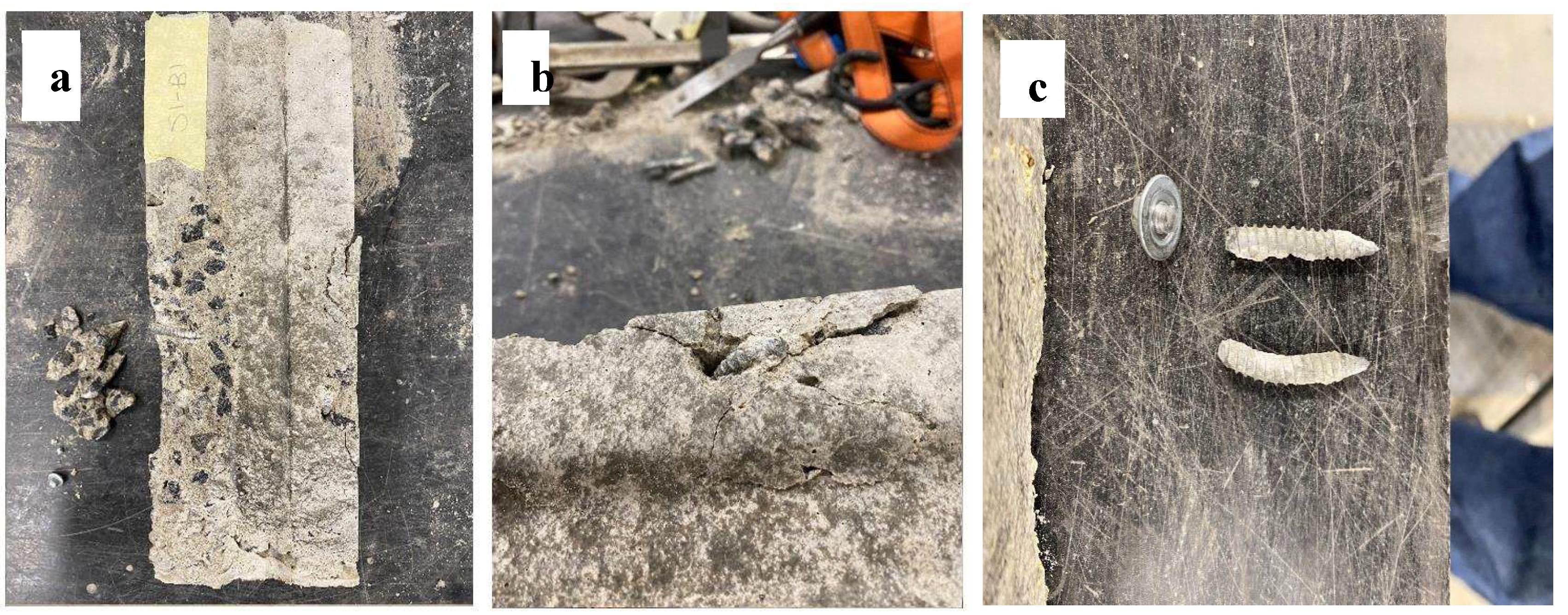 Preprints 154562 g010